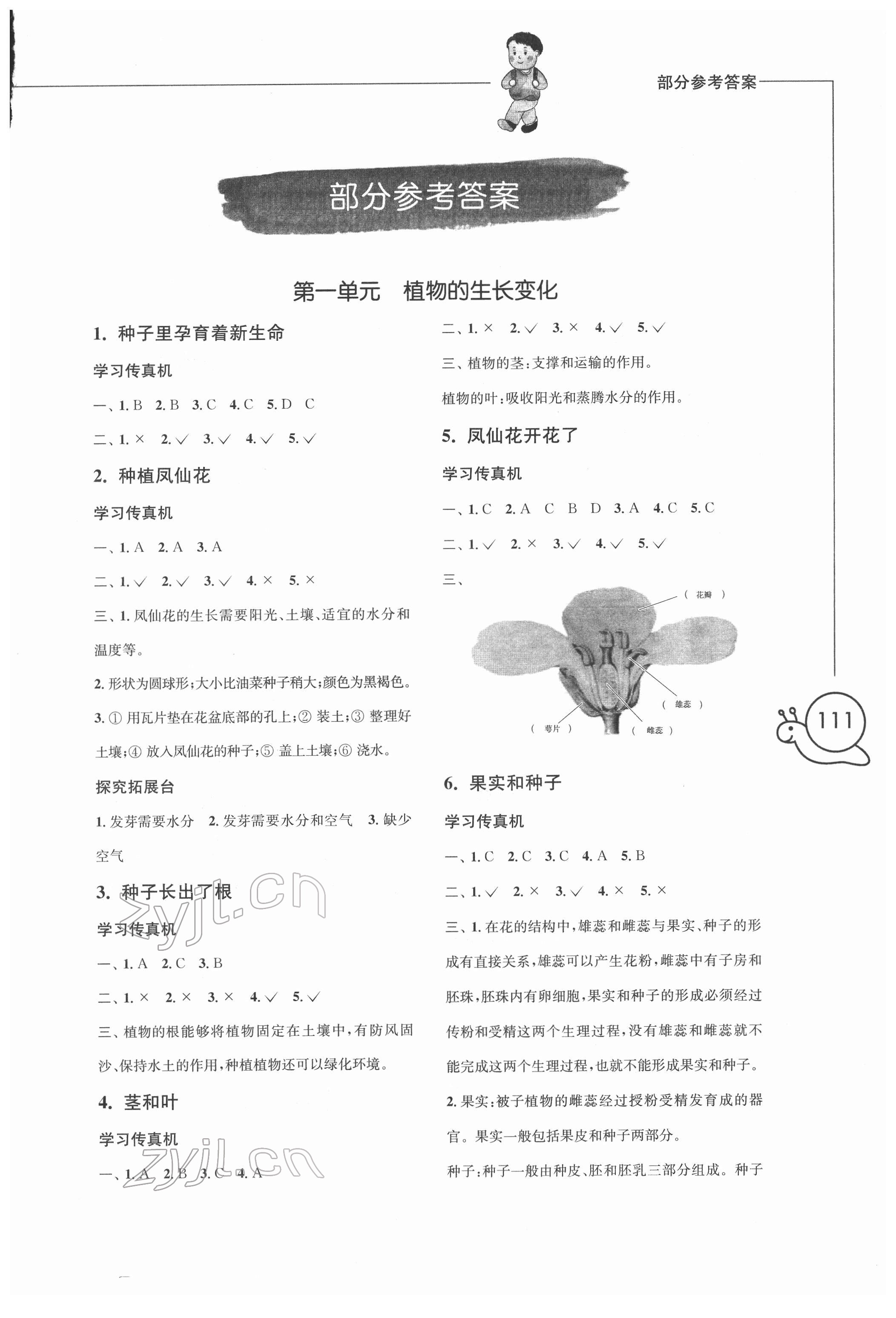 2022年小学科学习作四年级下册增强版 第1页