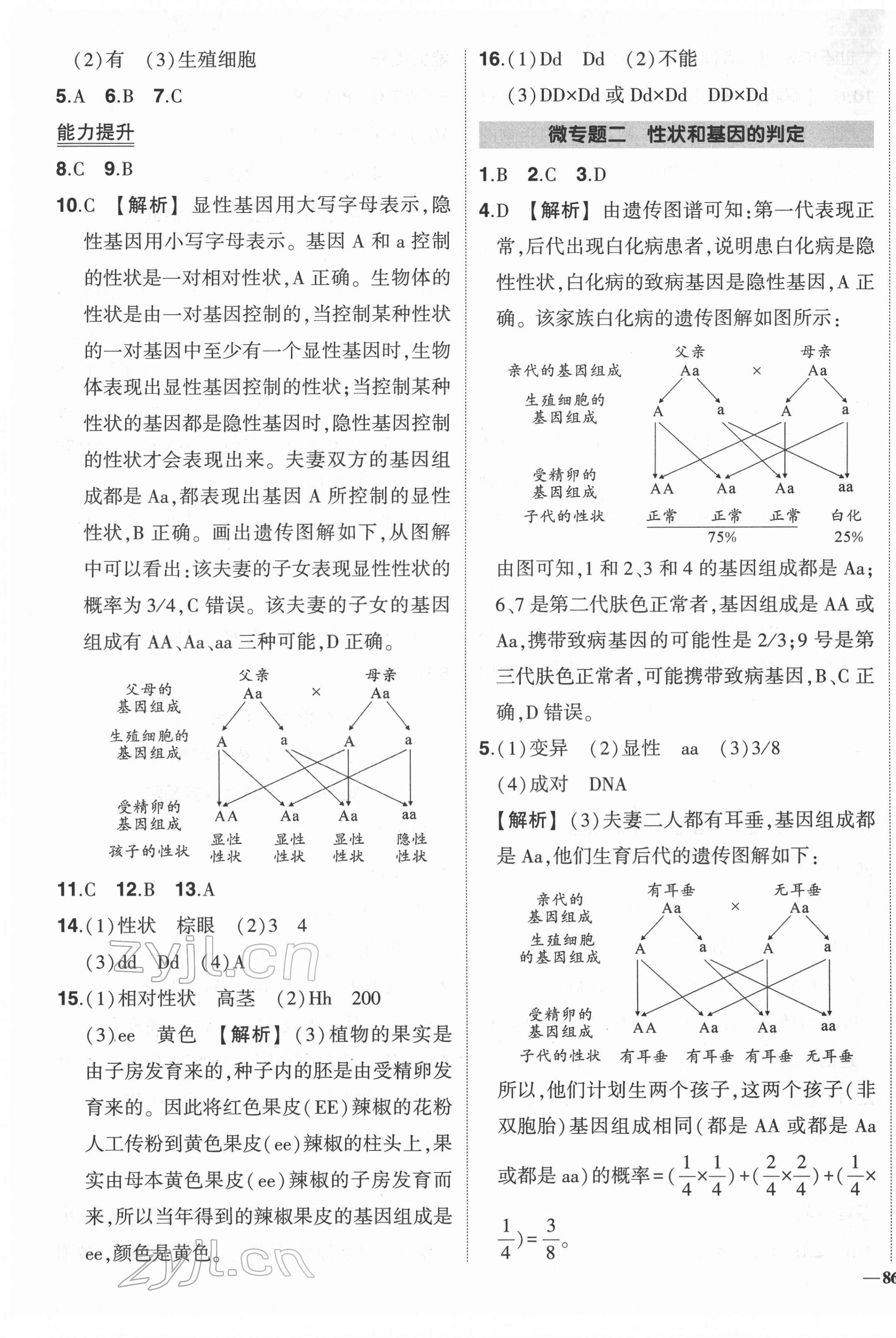 2022年?duì)钤刹怕穭?chuàng)優(yōu)作業(yè)八年級(jí)生物下冊(cè)人教版 參考答案第5頁