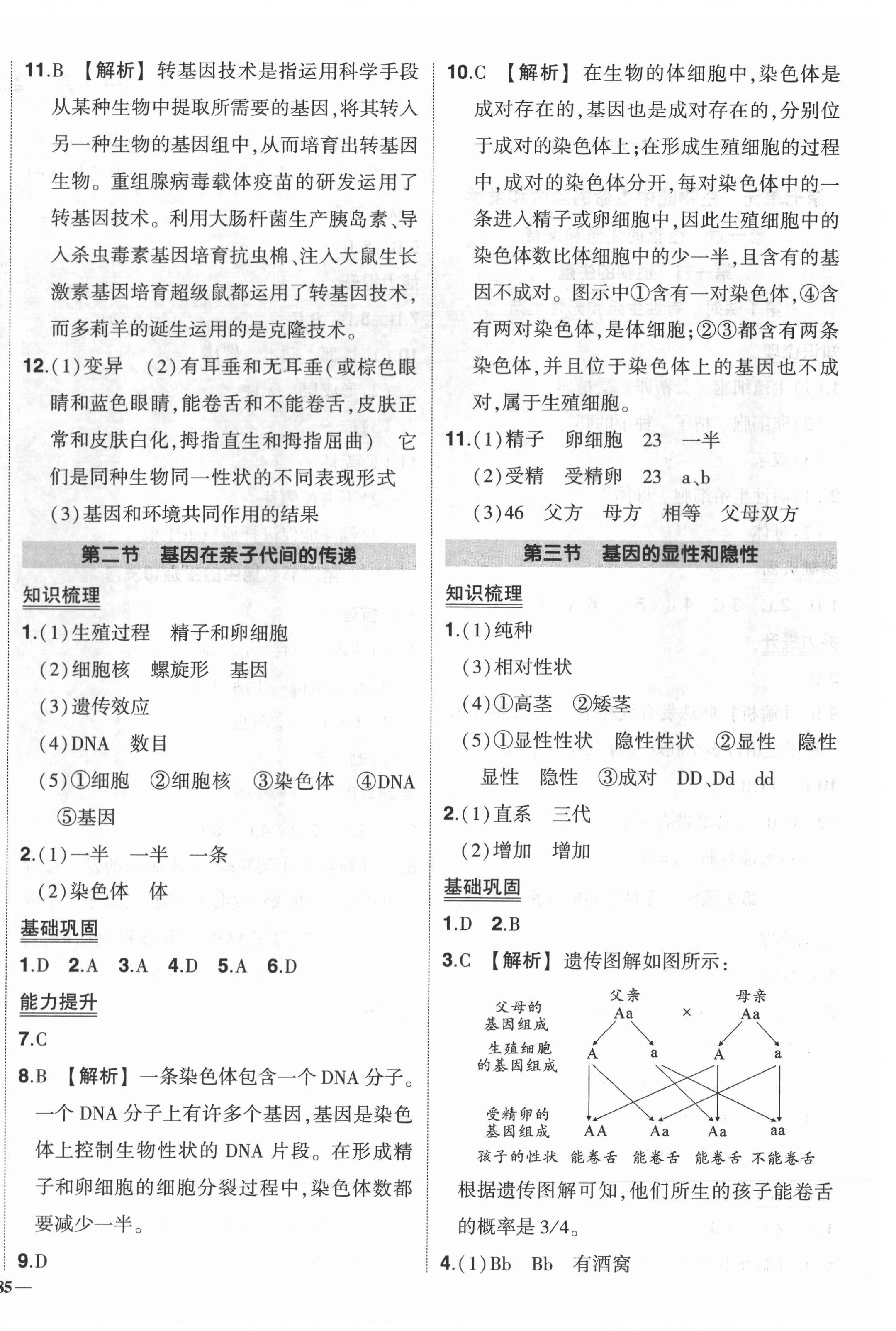 2022年?duì)钤刹怕穭?chuàng)優(yōu)作業(yè)八年級生物下冊人教版 參考答案第4頁