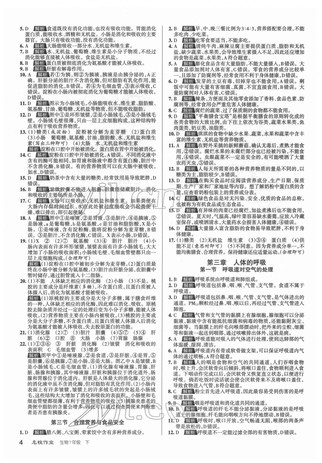 2022年名校作業(yè)七年級生物下冊人教版山西專版 第4頁