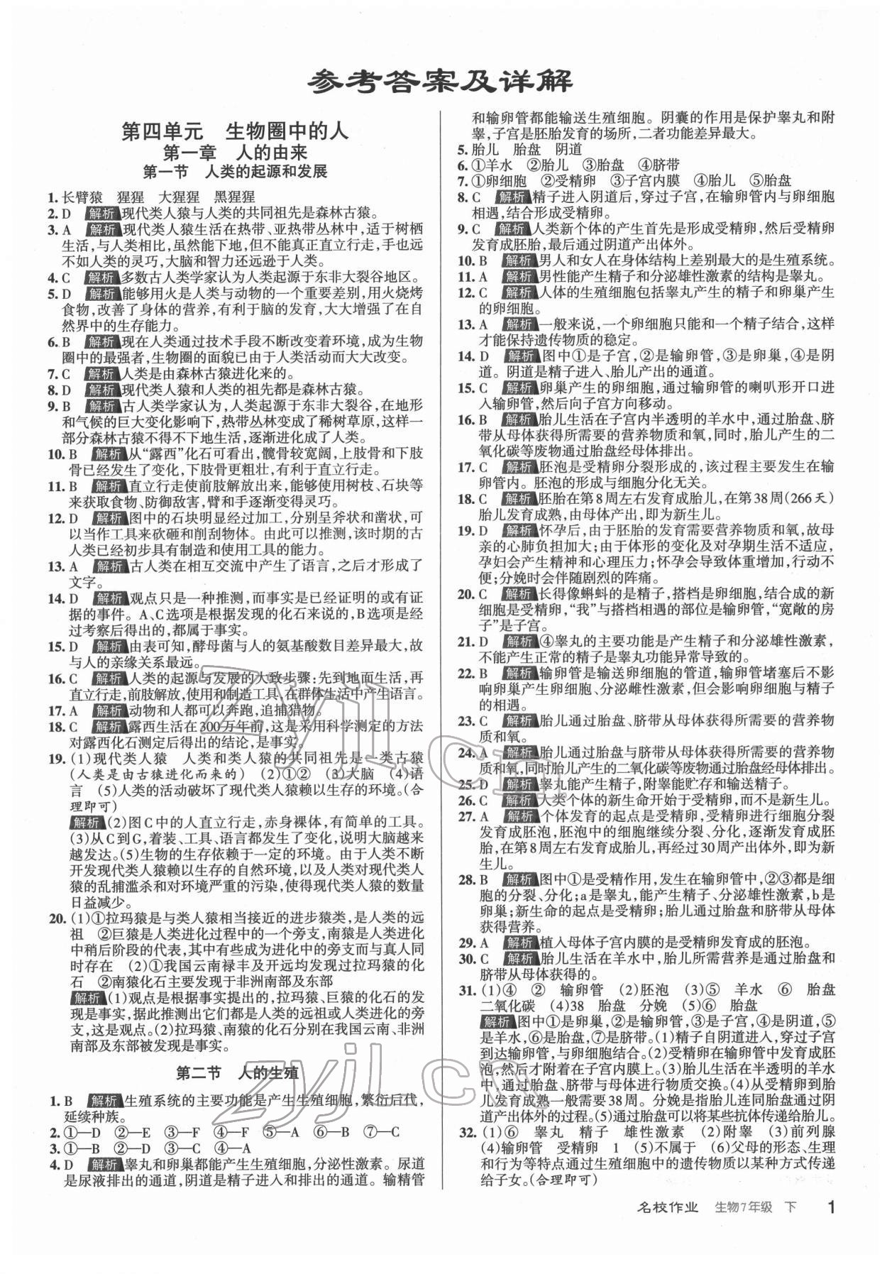 2022年名校作業(yè)七年級(jí)生物下冊(cè)人教版山西專版 第1頁(yè)