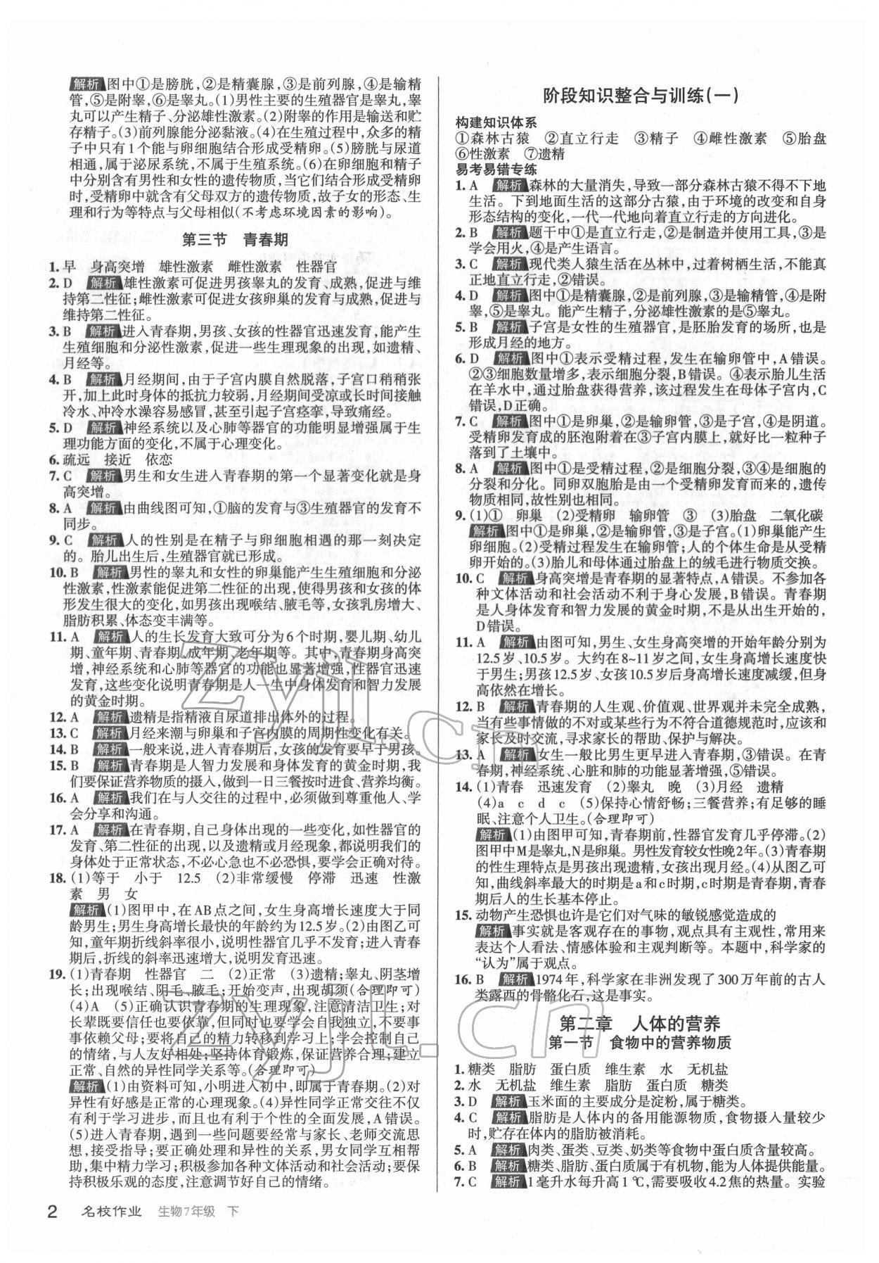 2022年名校作業七年級生物下冊人教版山西專版 第2頁