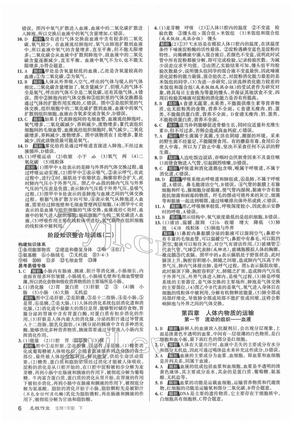 2022年名校作業(yè)七年級生物下冊人教版山西專版 第6頁