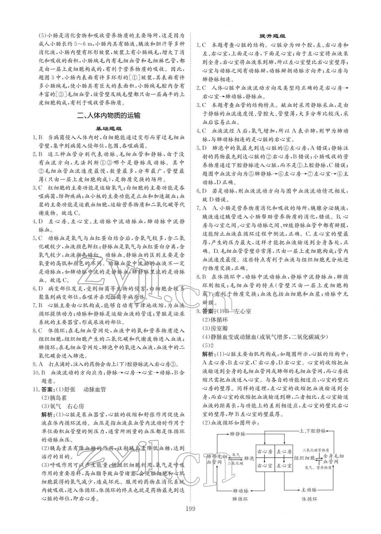 2022年創(chuàng)意課堂中考總復(fù)習(xí)指導(dǎo)生物福建專版 參考答案第11頁