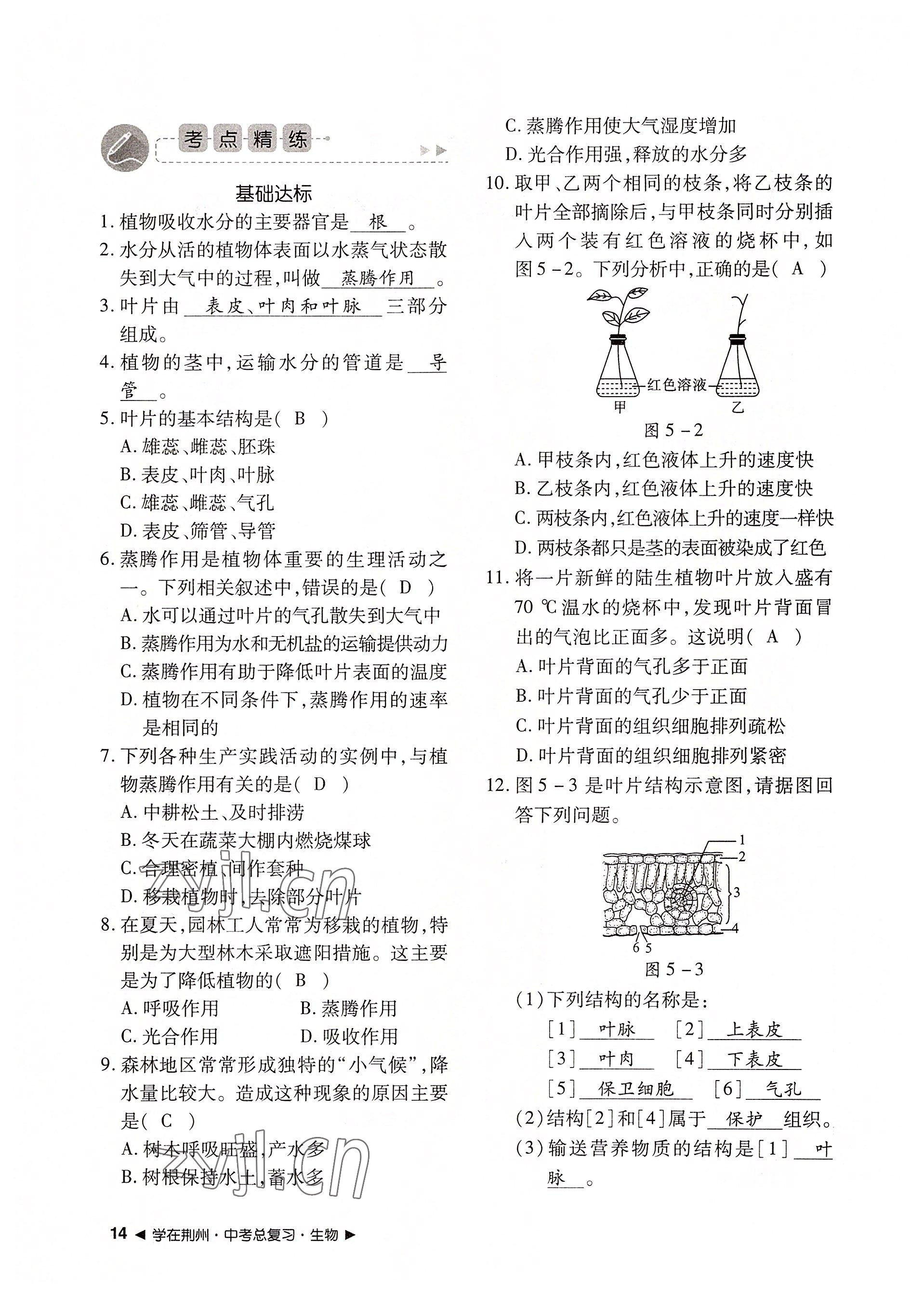 2022年导学精练中考总复习生物荆州专版 参考答案第14页