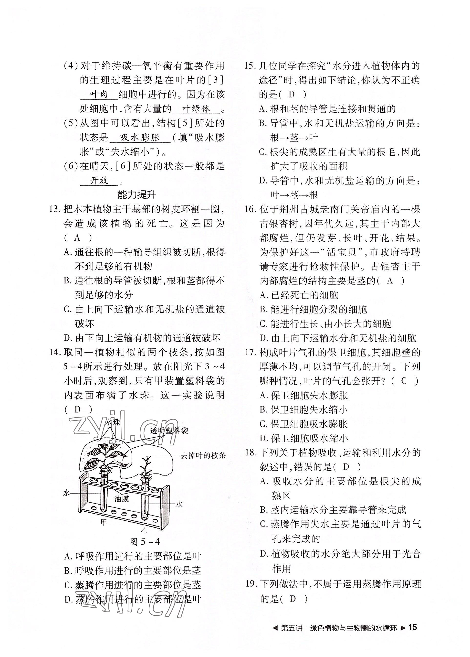 2022年導(dǎo)學(xué)精練中考總復(fù)習(xí)生物荊州專版 參考答案第15頁(yè)