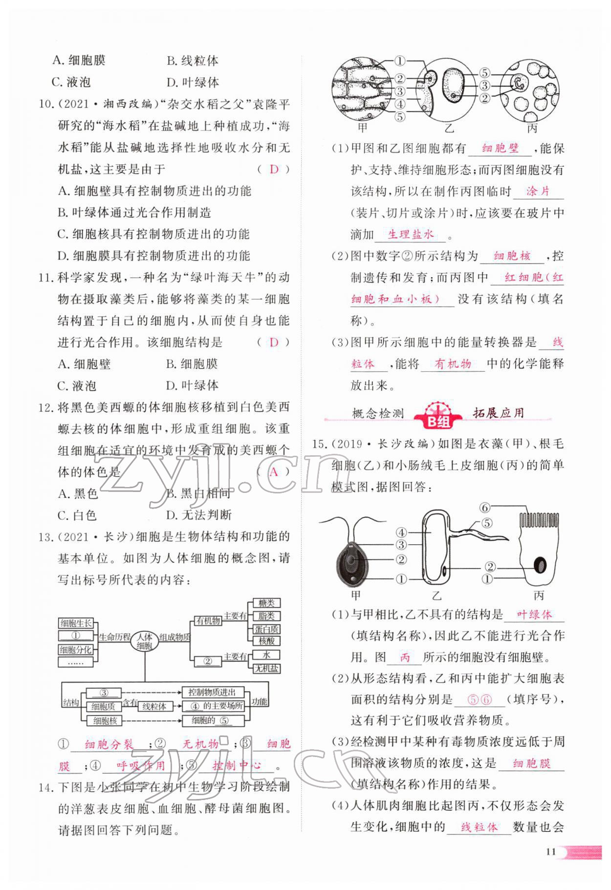2022年中考啟航生物 參考答案第47頁(yè)