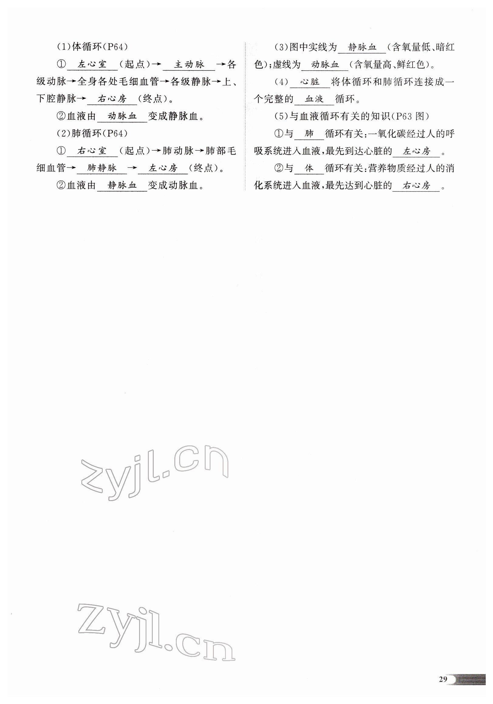 2022年中考啟航生物 參考答案第62頁