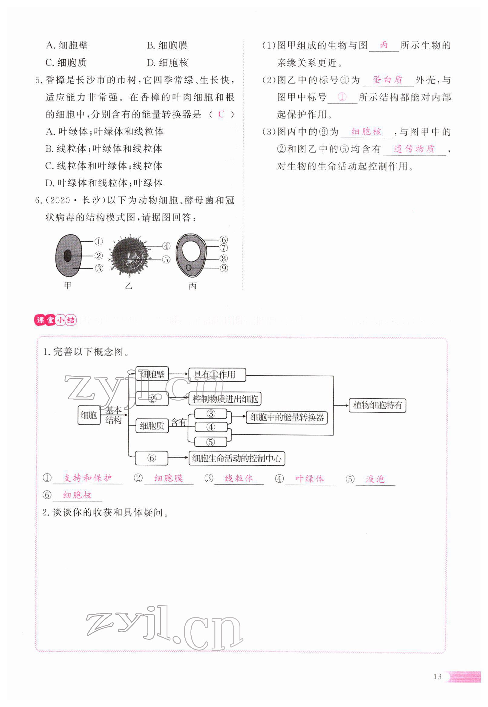 2022年中考啟航生物 參考答案第37頁