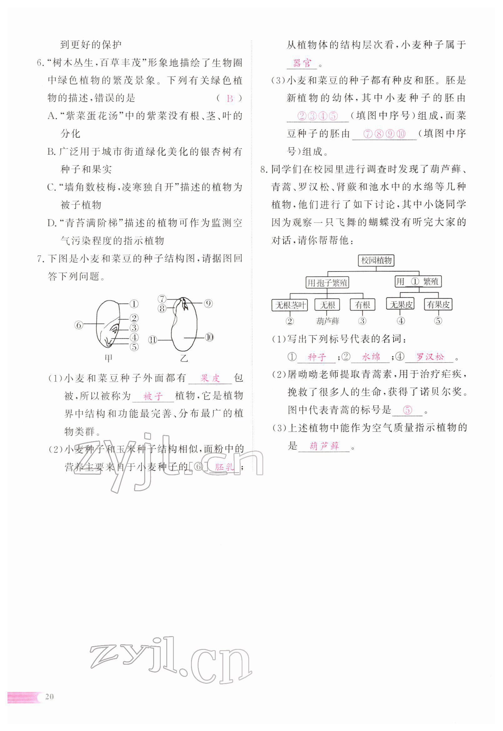 2022年中考啟航生物 參考答案第65頁