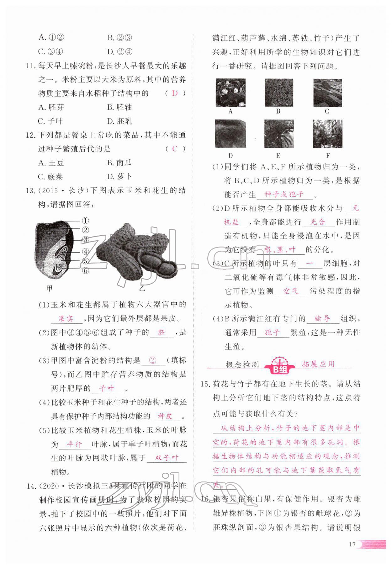 2022年中考啟航生物 參考答案第71頁