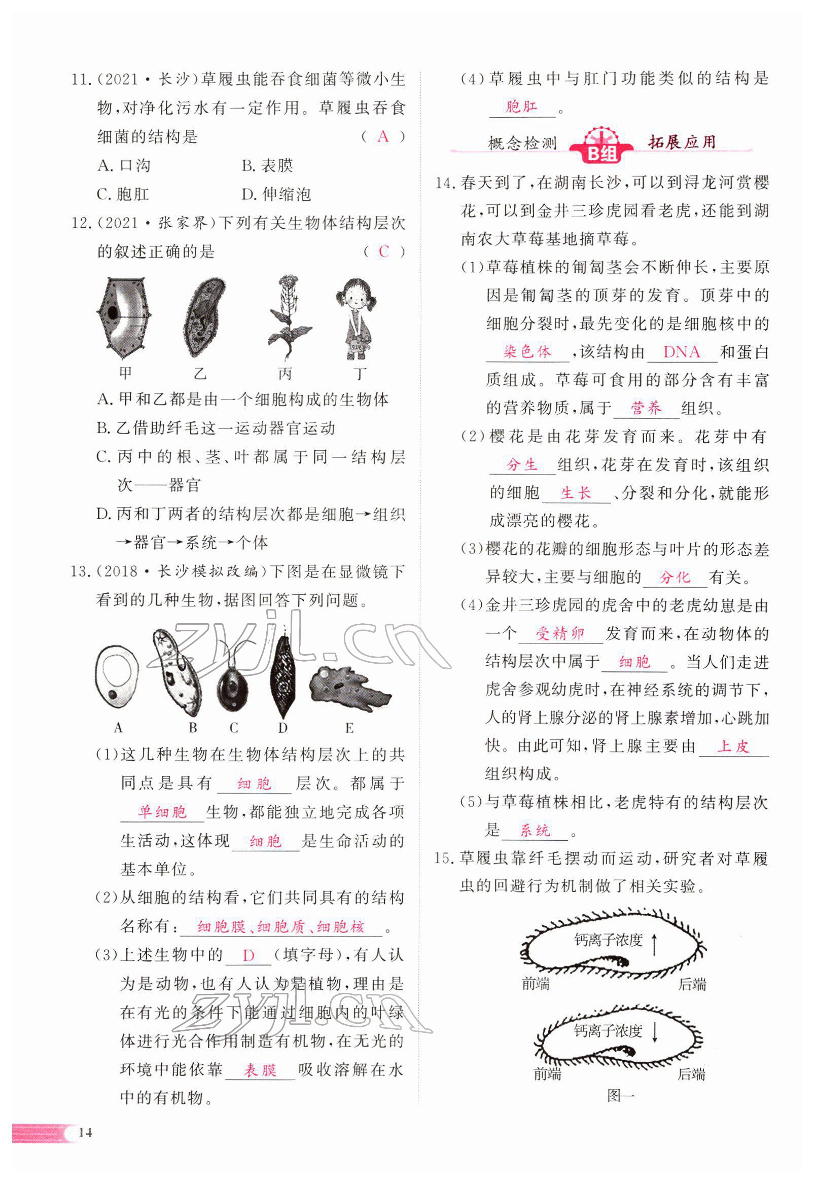 2022年中考啟航生物 參考答案第59頁