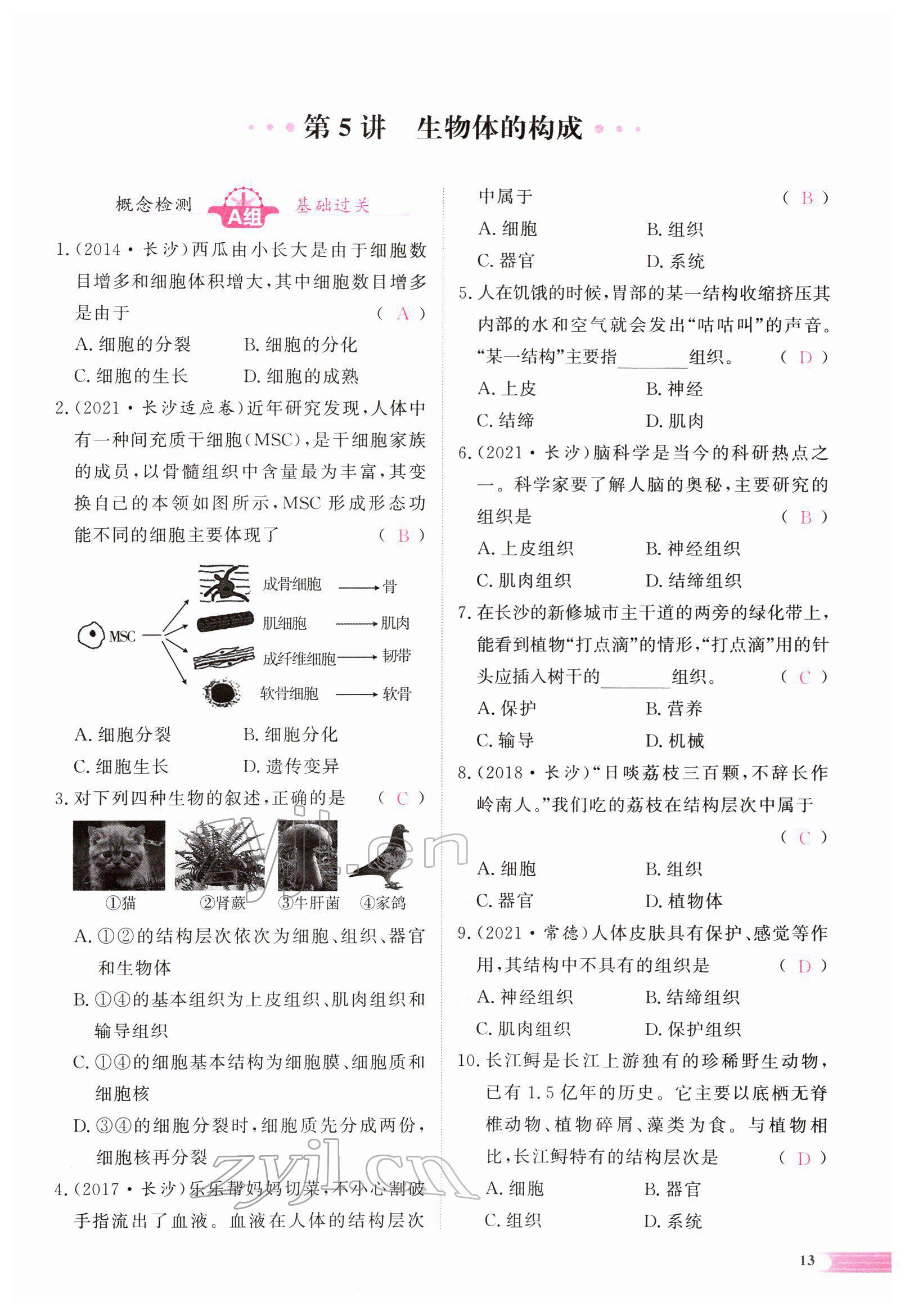 2022年中考啟航生物 參考答案第55頁