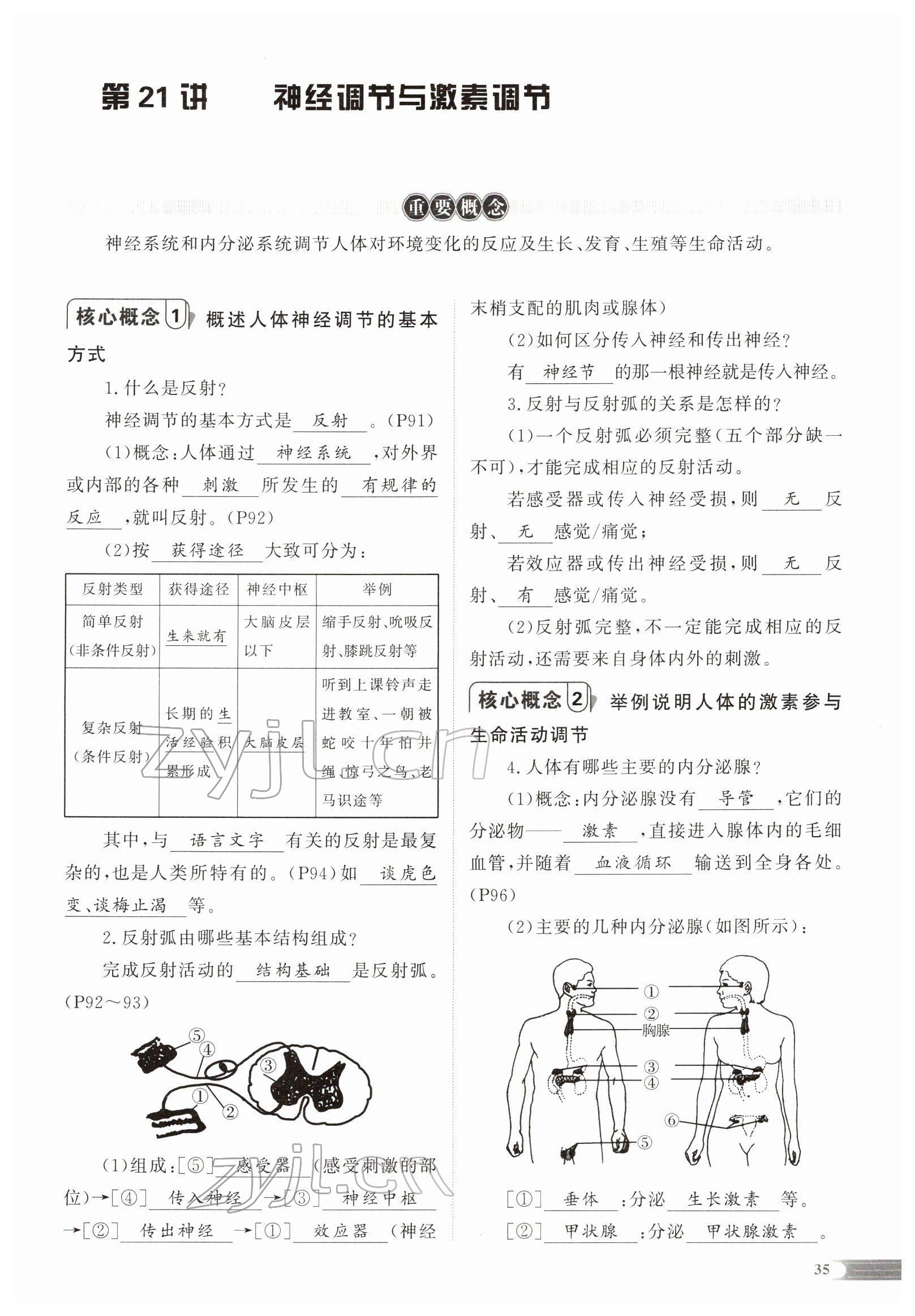 2022年中考啟航生物 參考答案第74頁