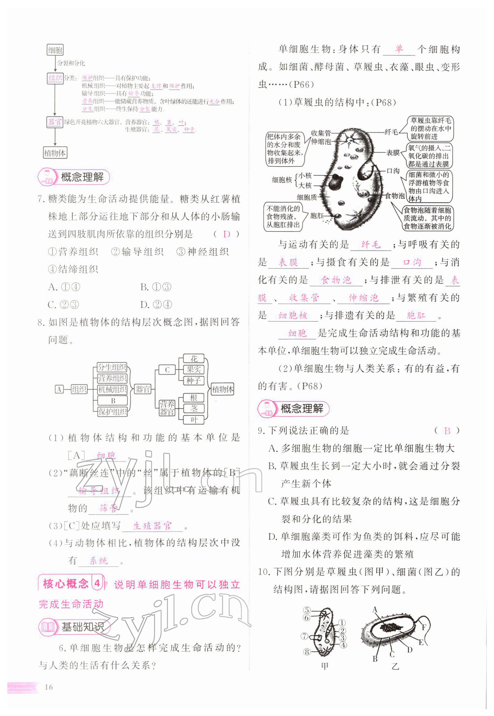 2022年中考啟航生物 參考答案第49頁(yè)