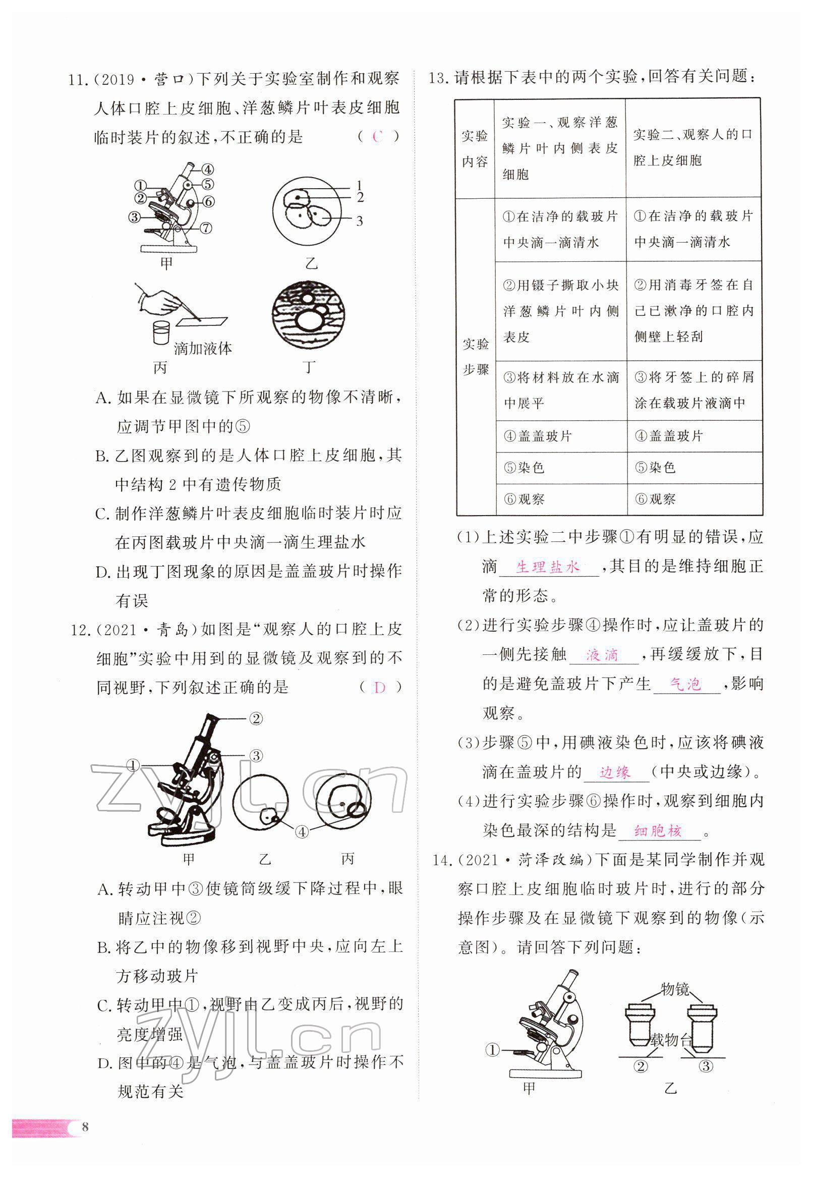 2022年中考啟航生物 參考答案第35頁