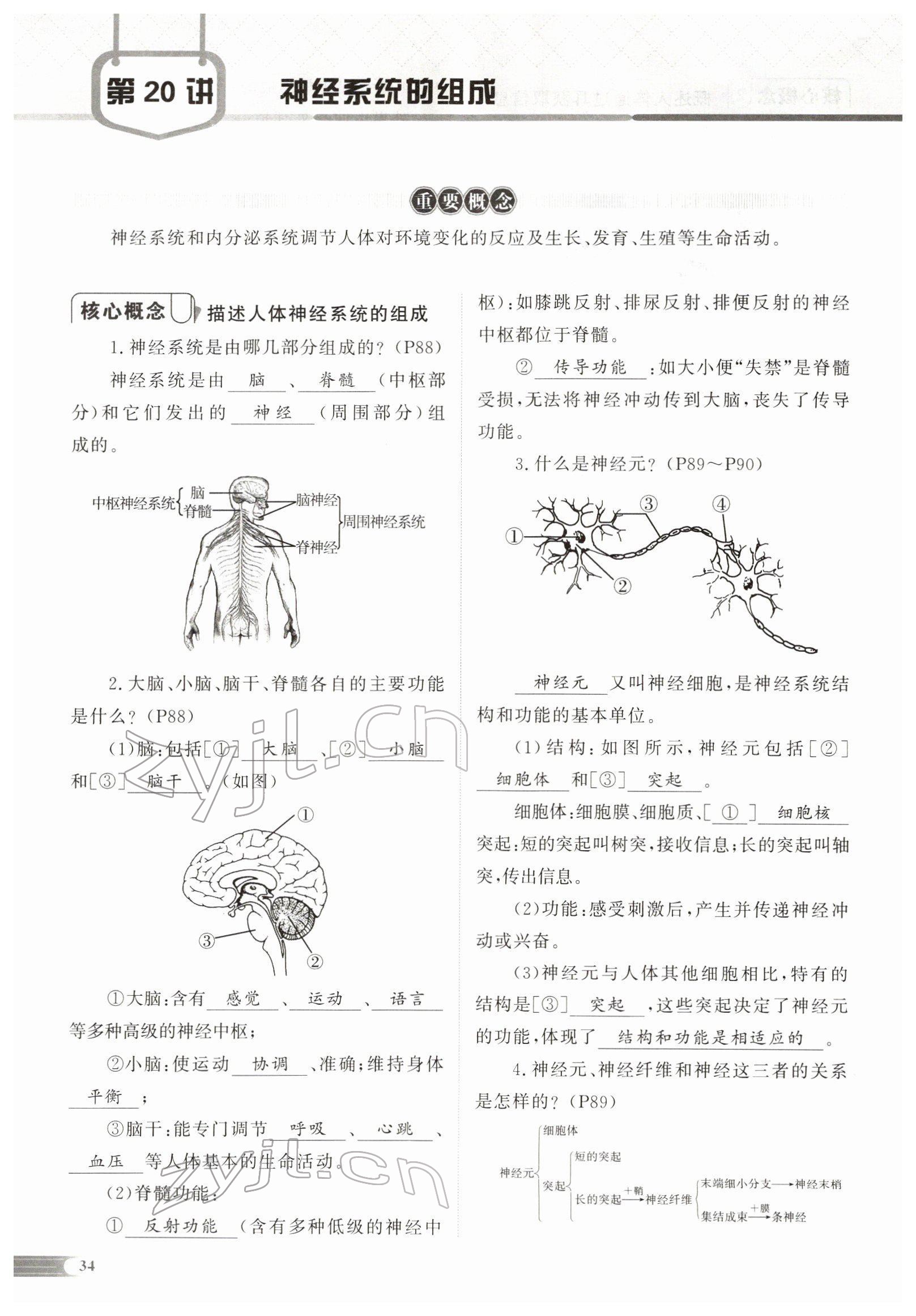 2022年中考啟航生物 參考答案第72頁