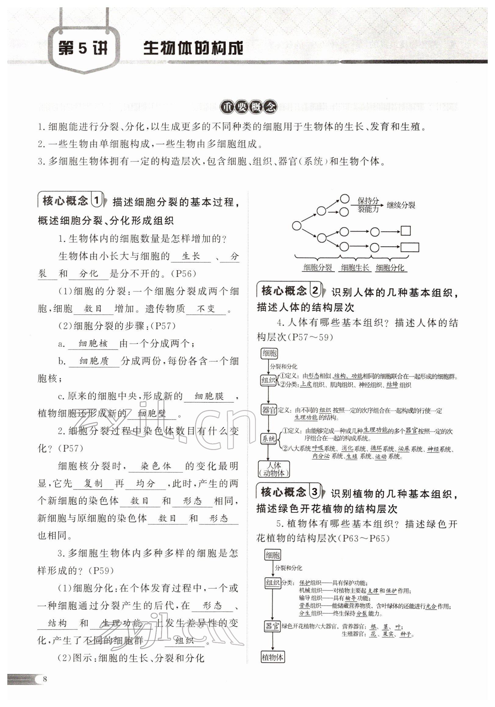 2022年中考啟航生物 參考答案第20頁