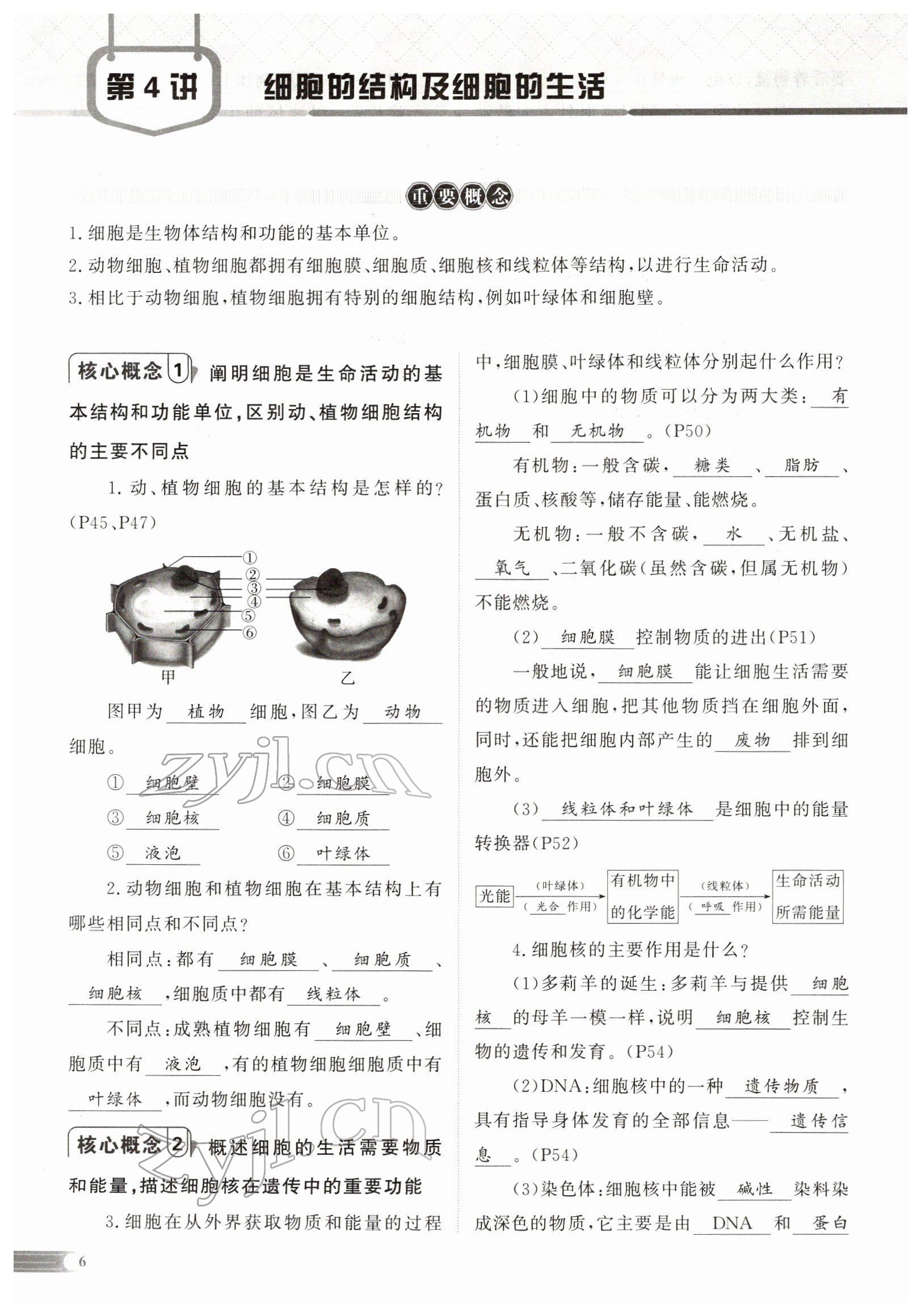 2022年中考啟航生物 參考答案第16頁