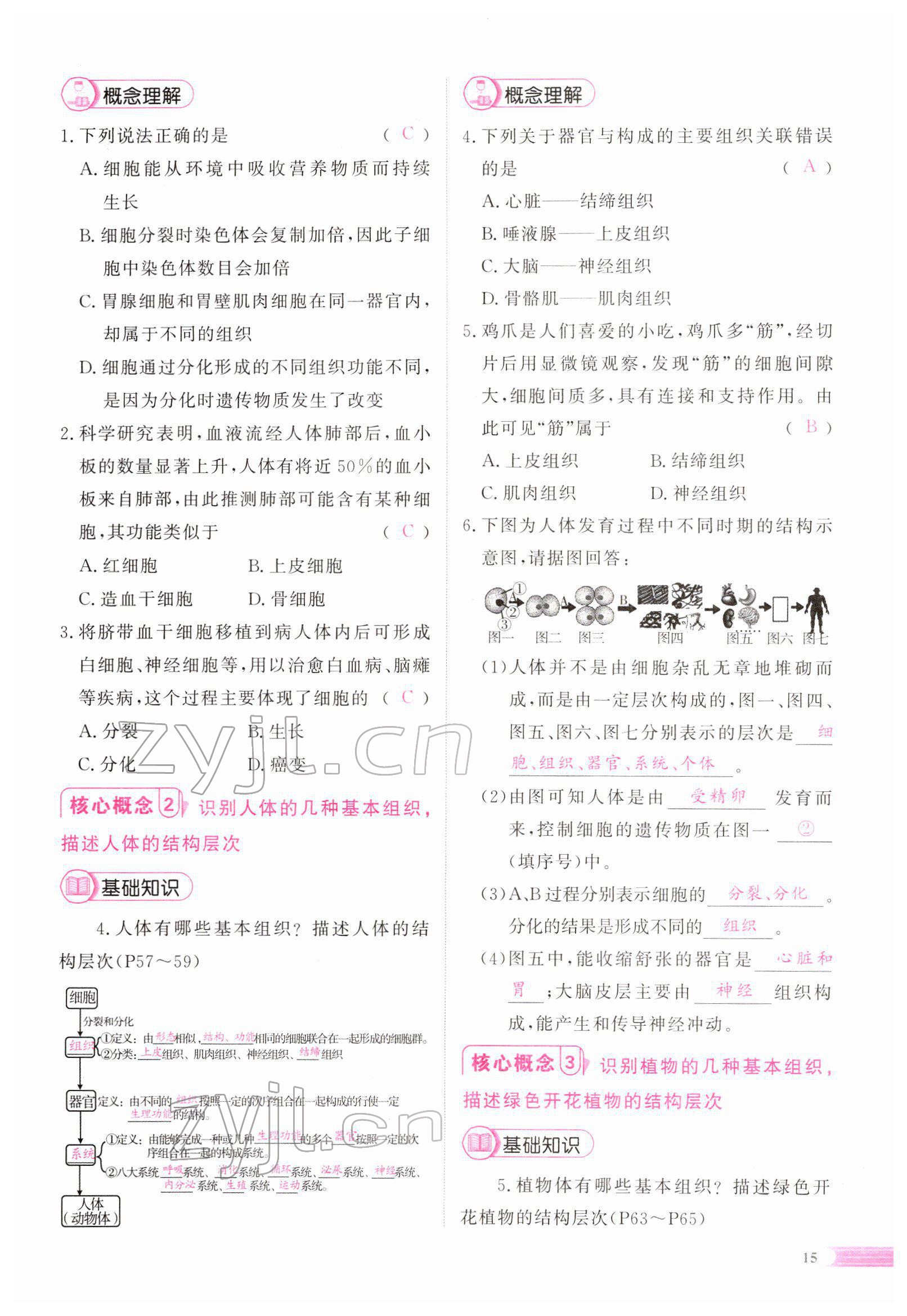 2022年中考啟航生物 參考答案第45頁