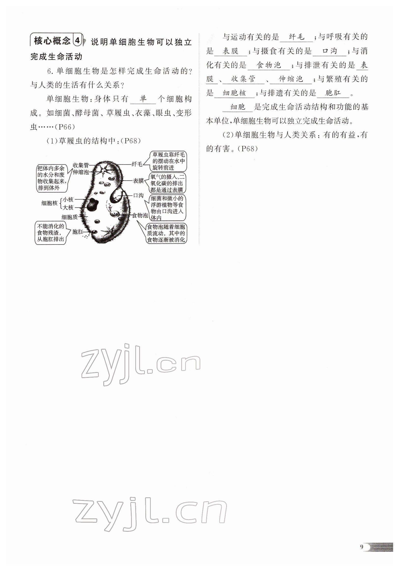 2022年中考啟航生物 參考答案第22頁