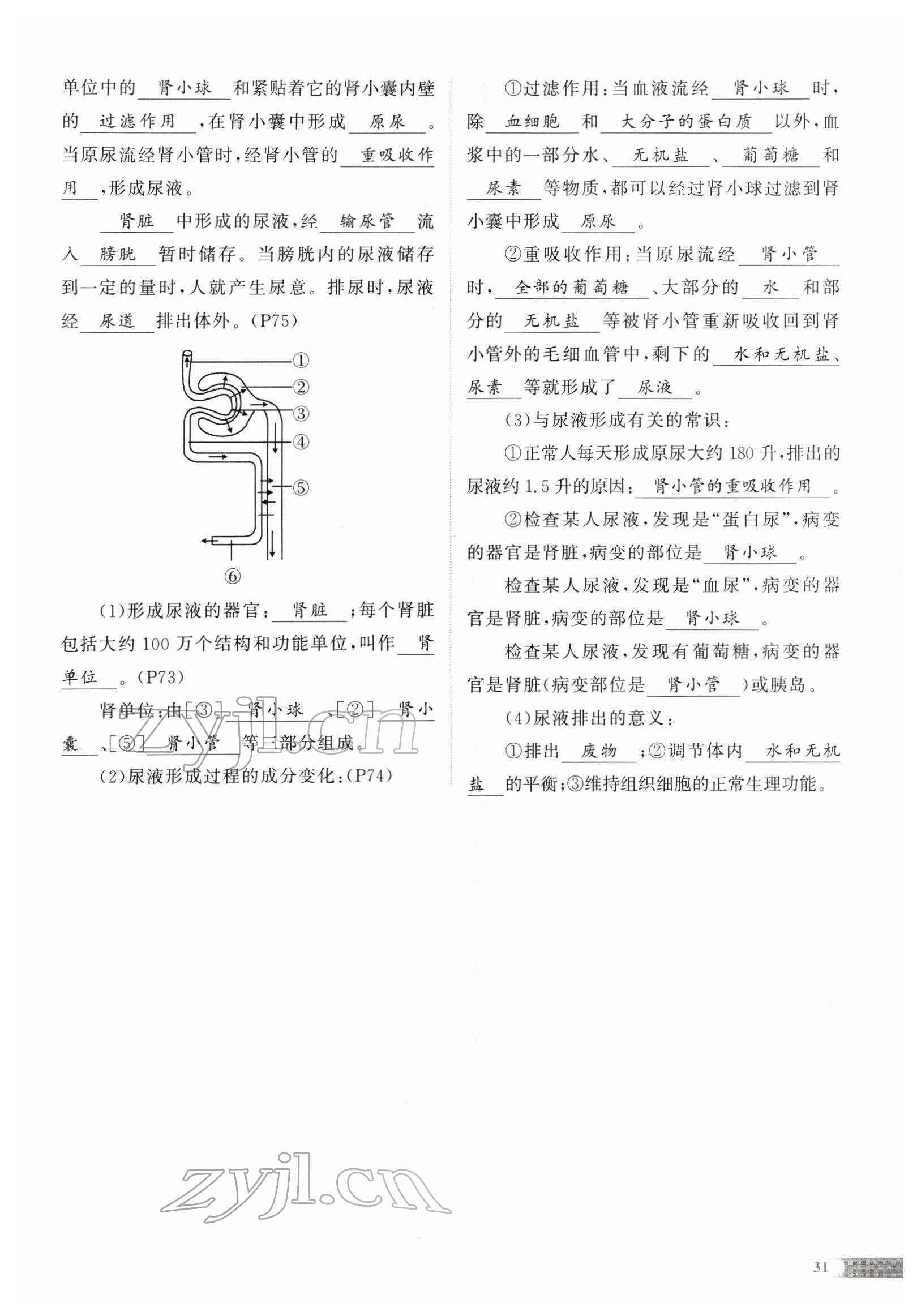 2022年中考啟航生物 參考答案第66頁