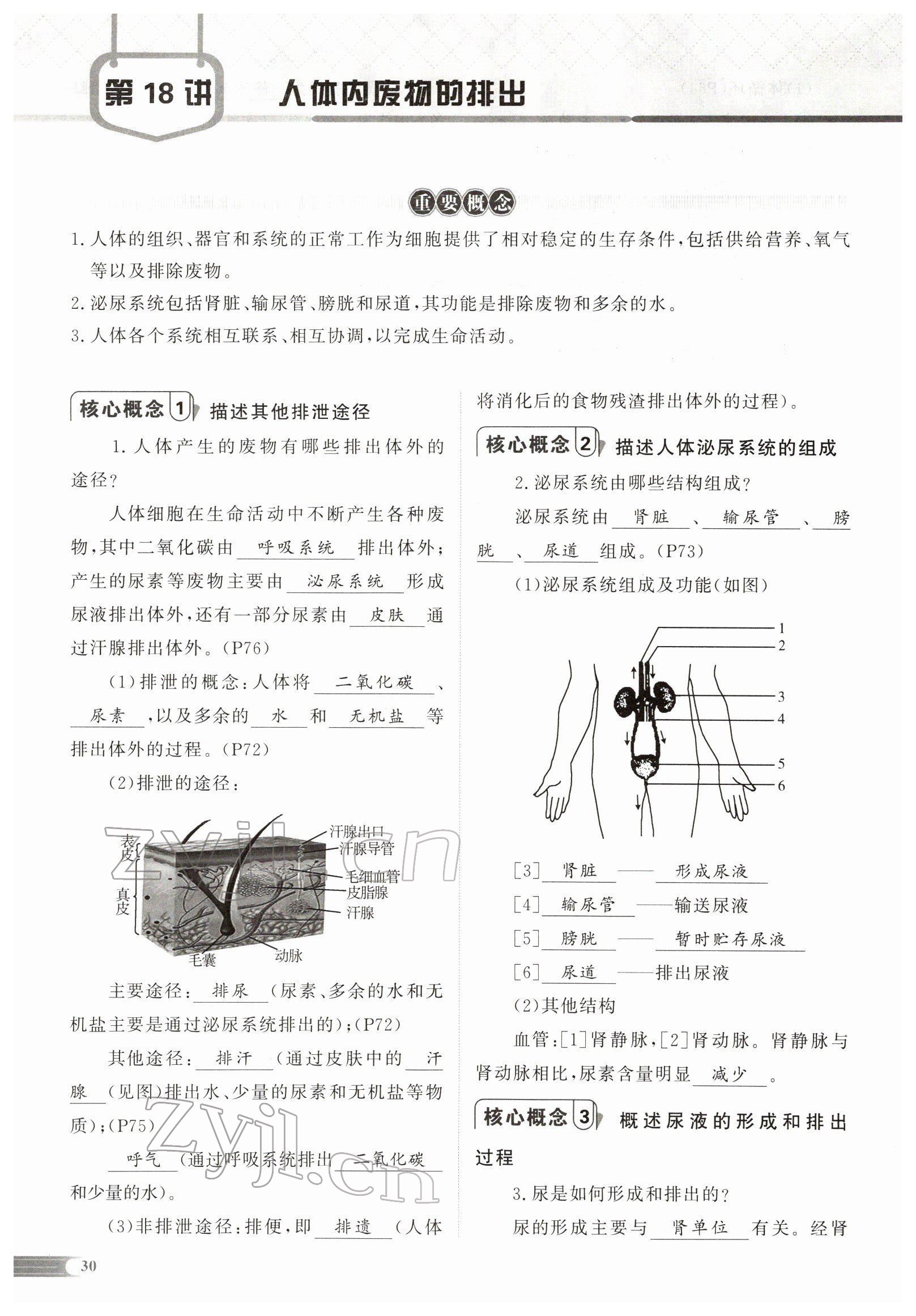 2022年中考啟航生物 參考答案第64頁