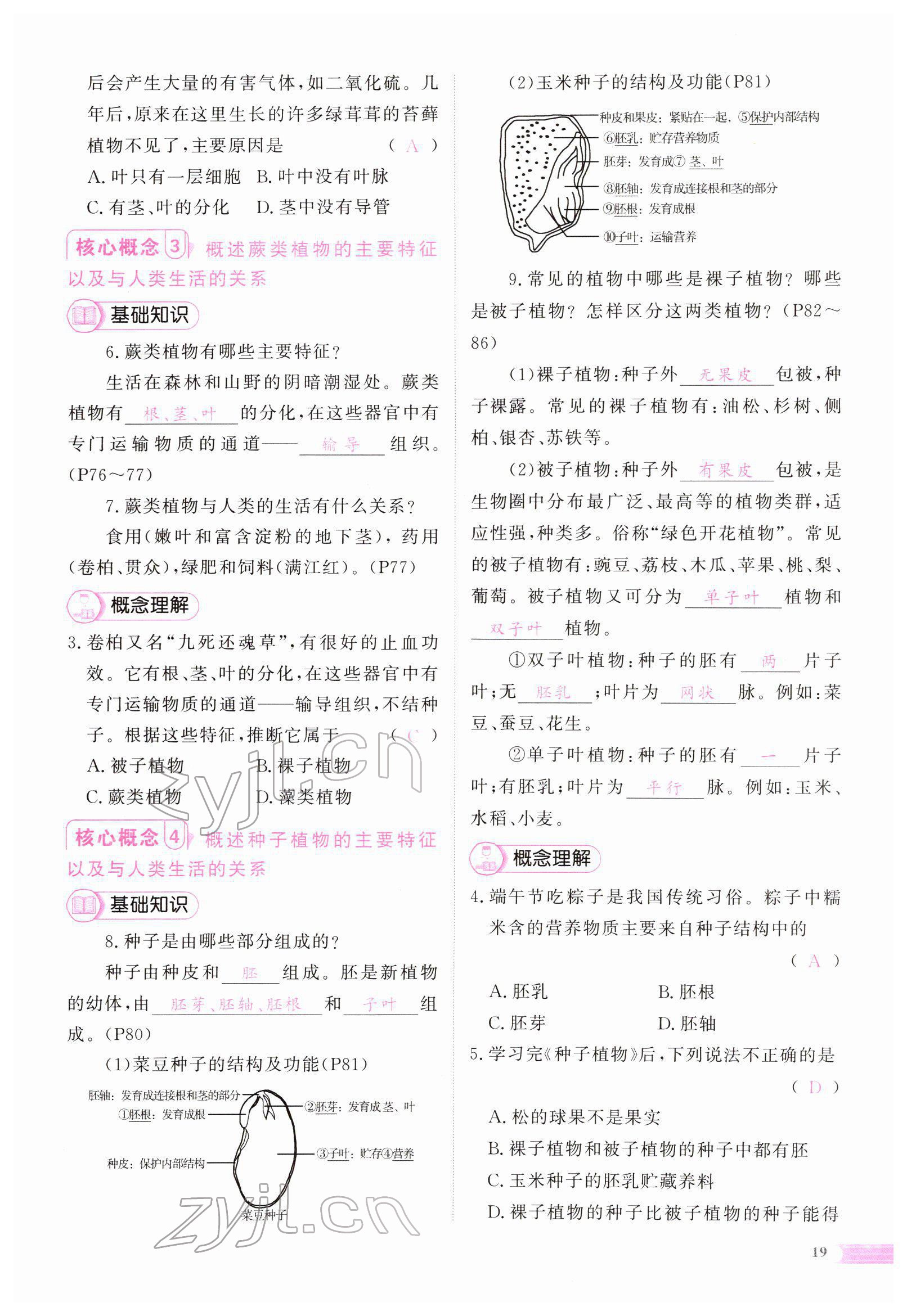2022年中考啟航生物 參考答案第61頁