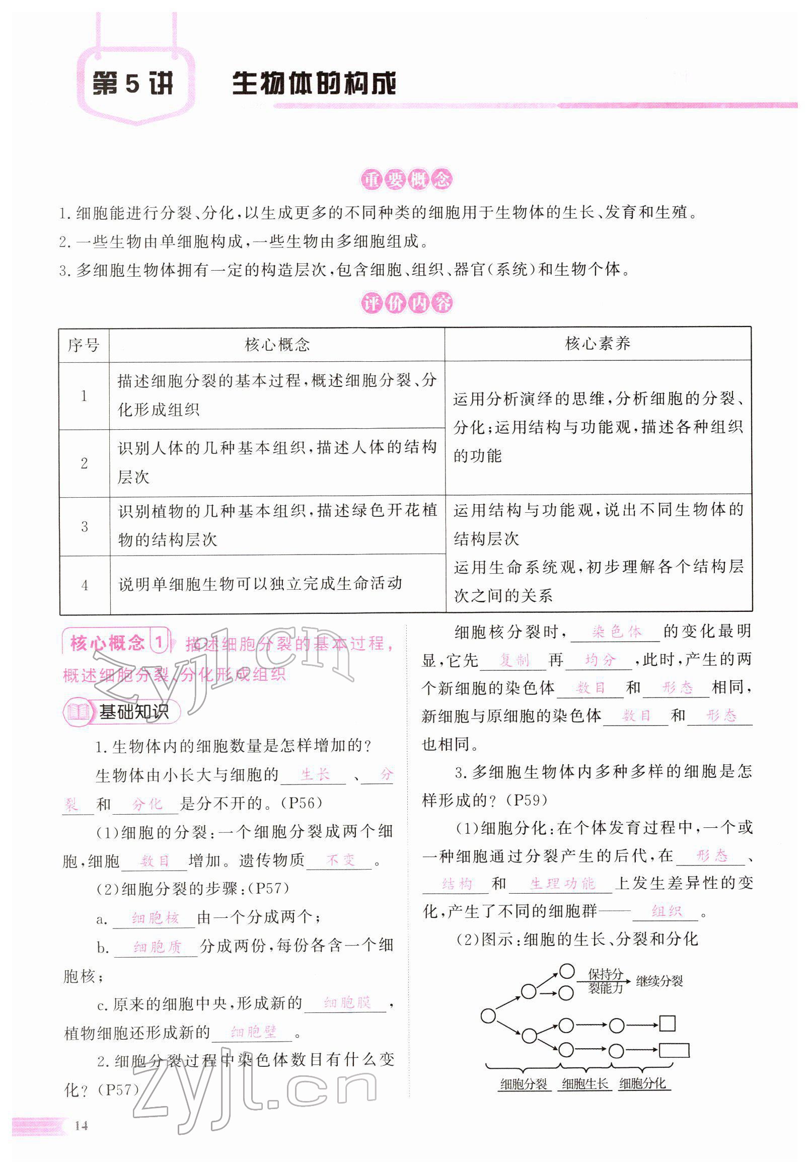 2022年中考啟航生物 參考答案第41頁(yè)