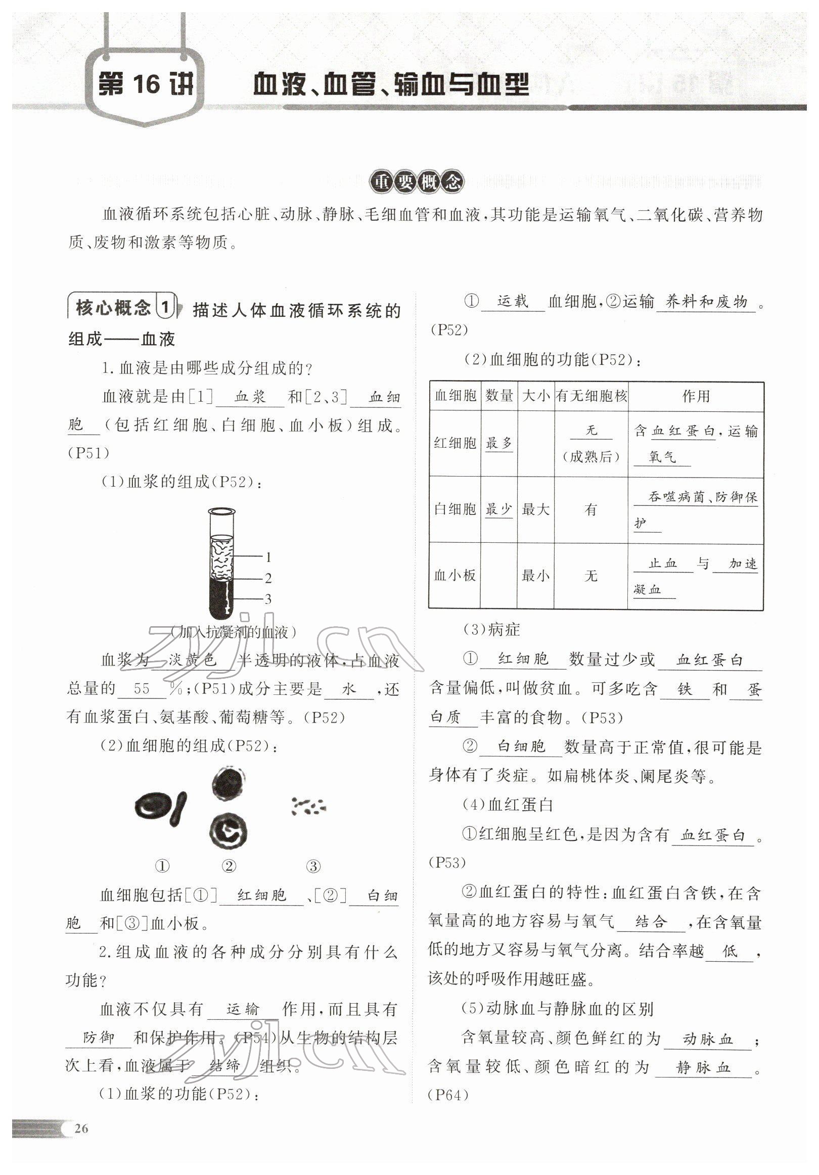 2022年中考啟航生物 參考答案第56頁