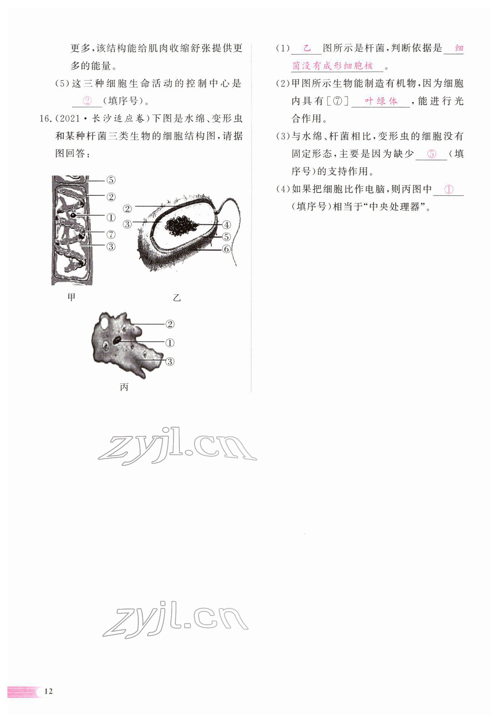 2022年中考啟航生物 參考答案第51頁