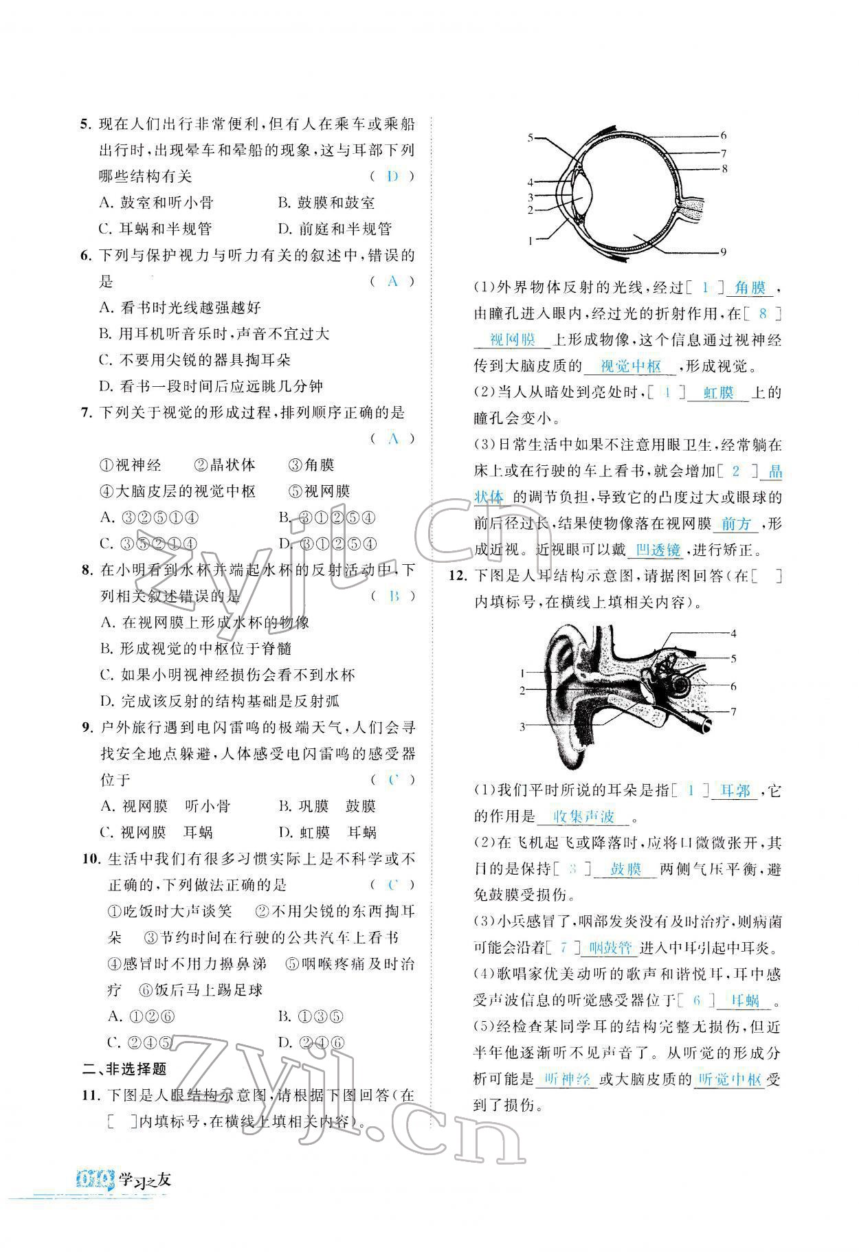 2021年学习之友八年级生物全一册苏科版 参考答案第11页