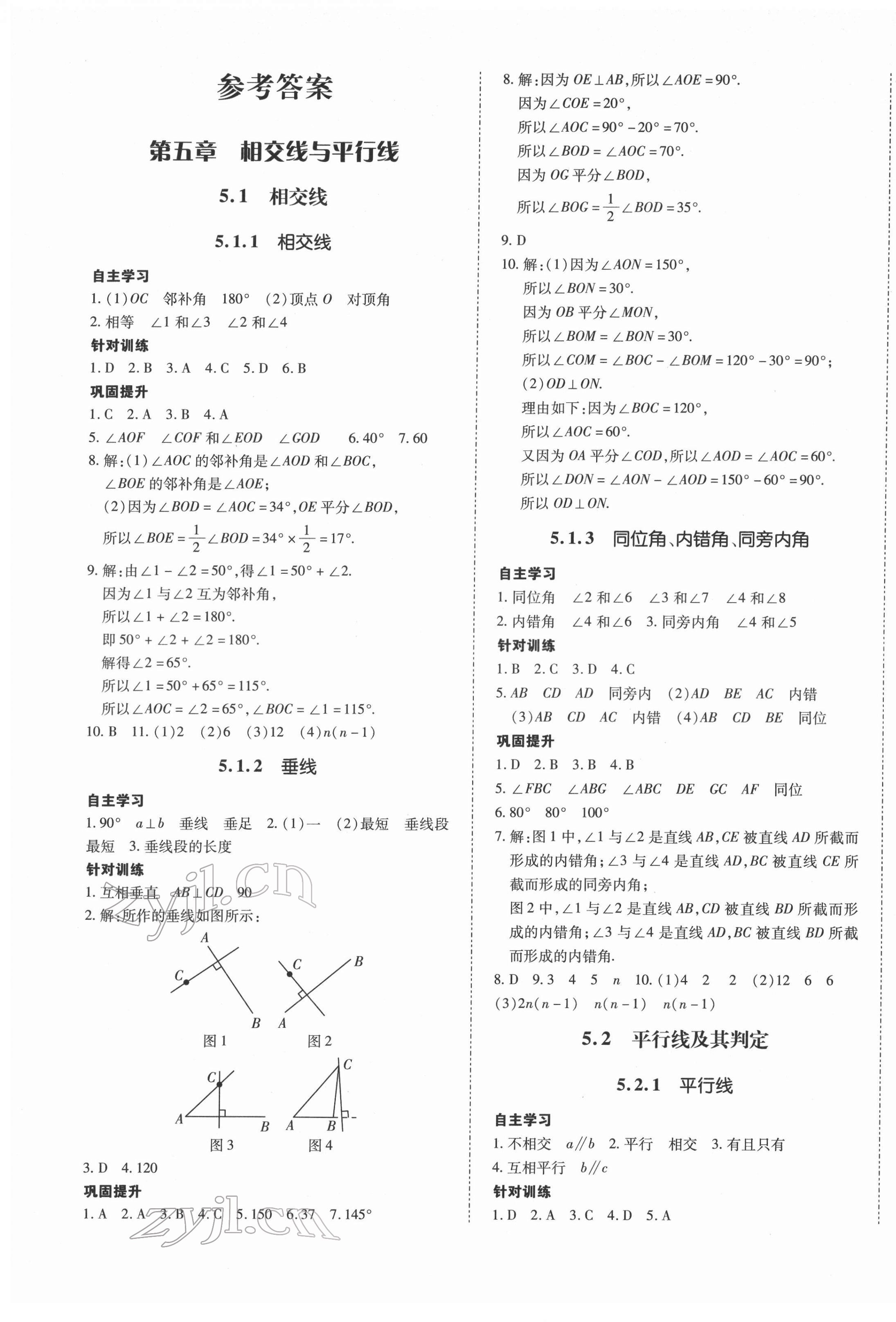 2022年本土攻略七年级数学下册人教版 第1页