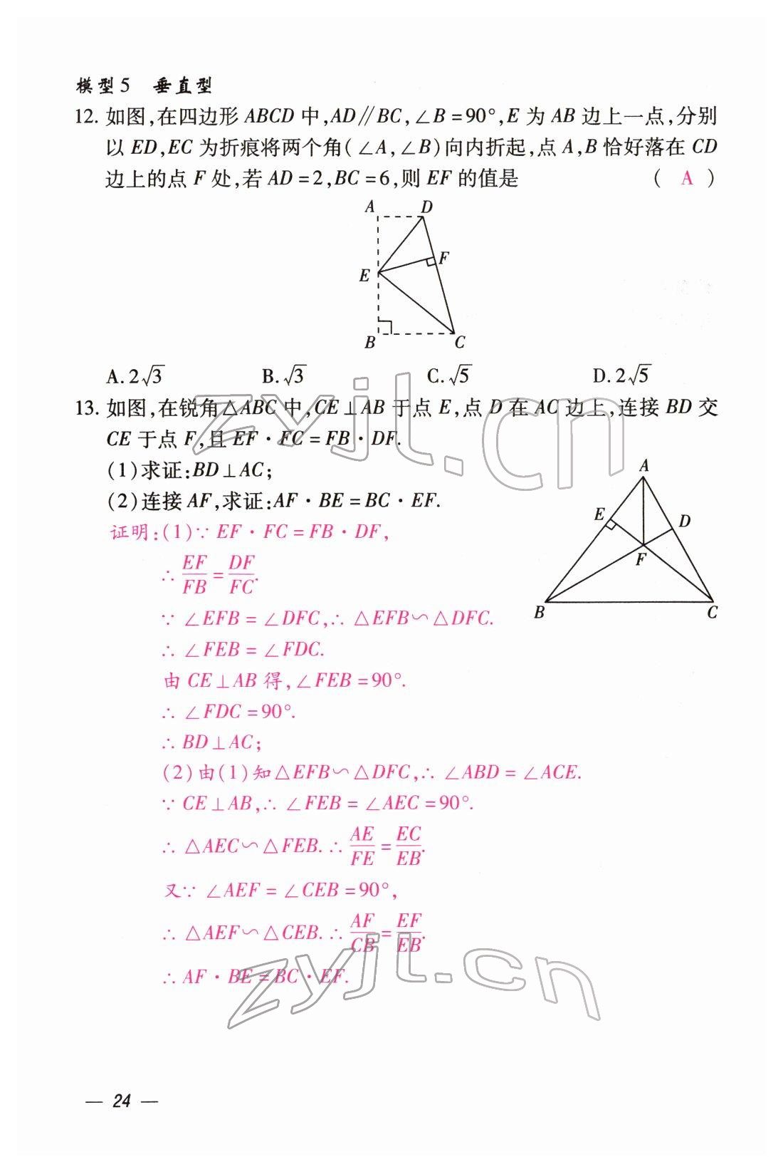 2022年本土攻略精準(zhǔn)復(fù)習(xí)方案數(shù)學(xué)云南專版 第24頁(yè)