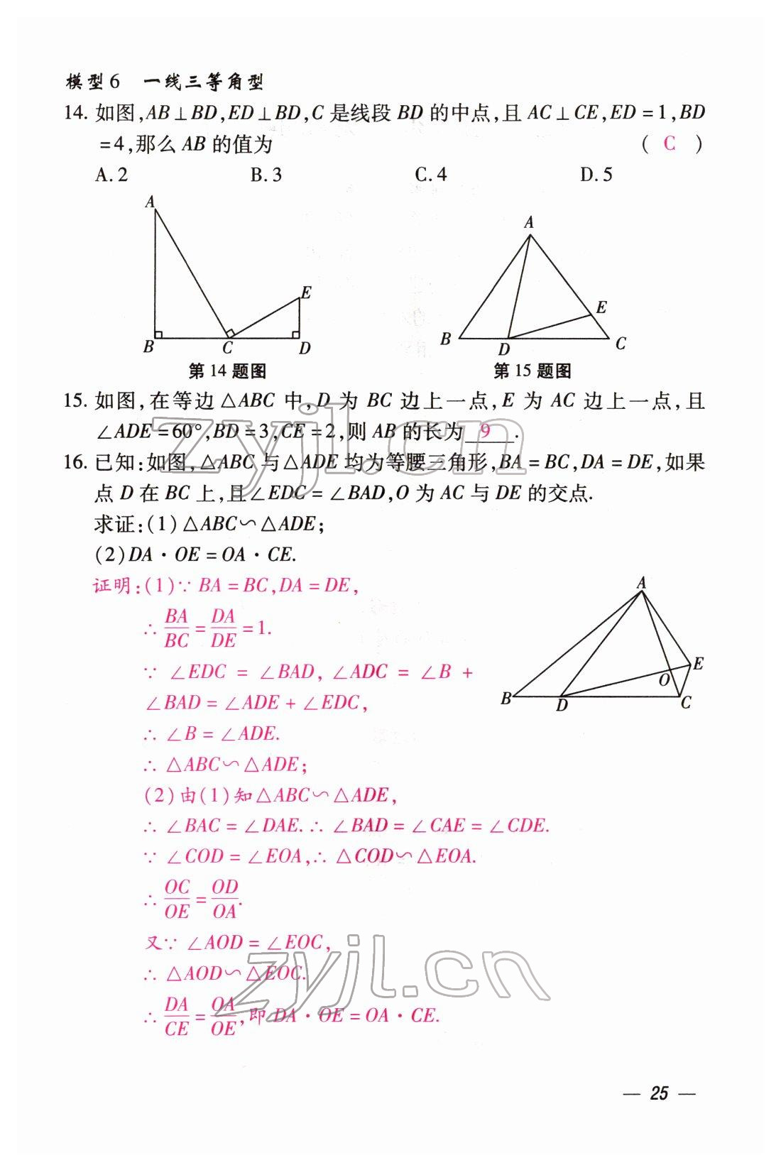 2022年本土攻略精準(zhǔn)復(fù)習(xí)方案數(shù)學(xué)云南專(zhuān)版 第25頁(yè)