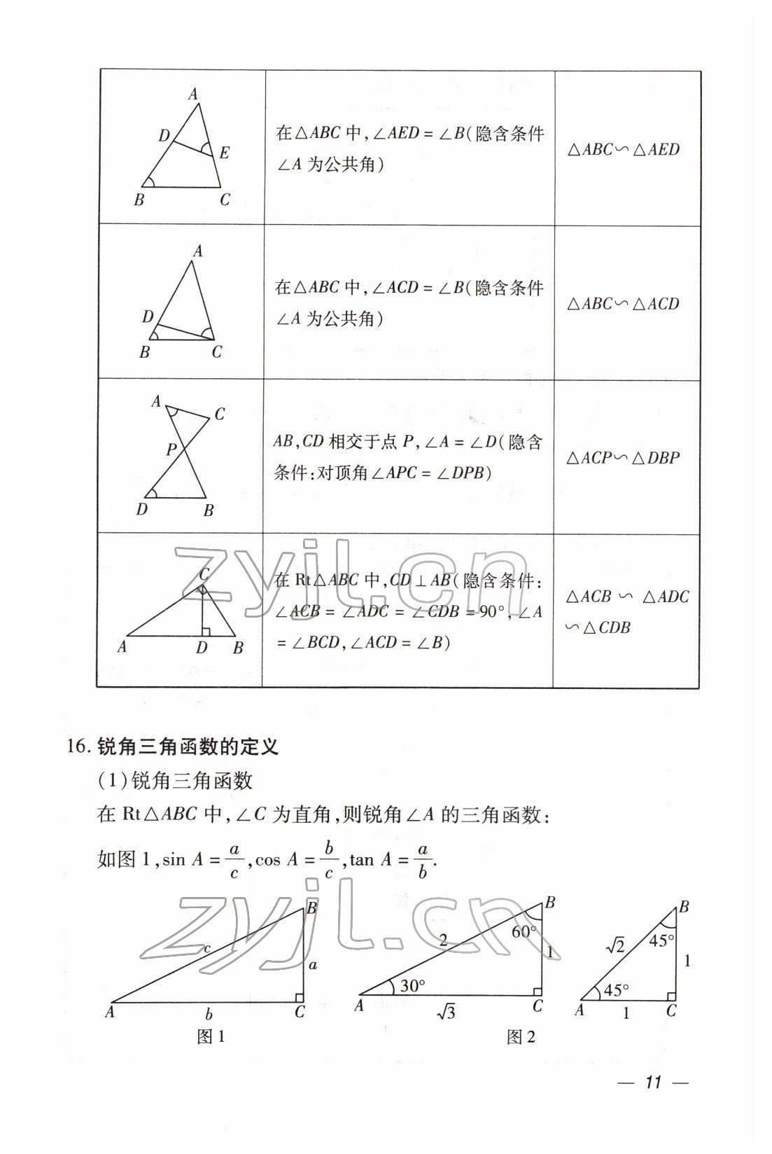 2022年本土攻略精準(zhǔn)復(fù)習(xí)方案數(shù)學(xué)云南專版 第11頁