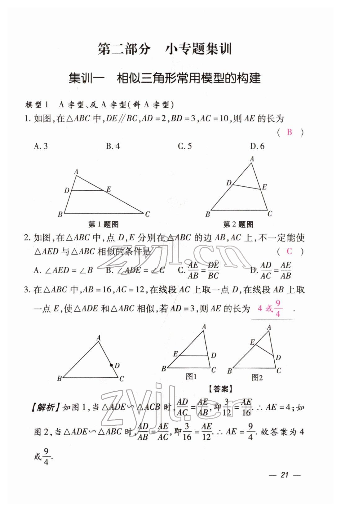 2022年本土攻略精準復習方案數學云南專版 第21頁