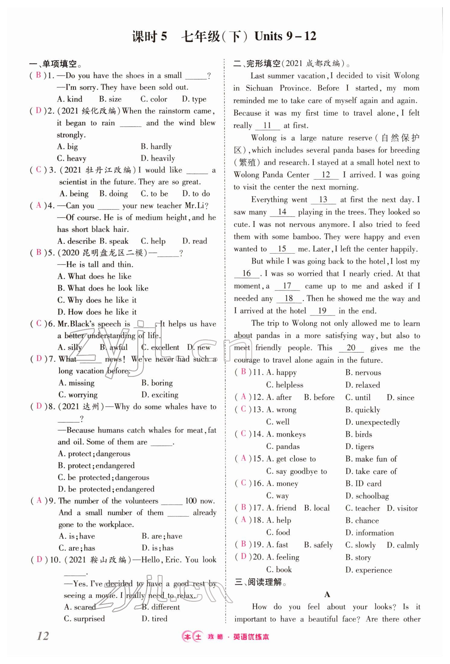 2022年本土攻略精準(zhǔn)復(fù)習(xí)方案英語(yǔ)云南專(zhuān)版 參考答案第41頁(yè)