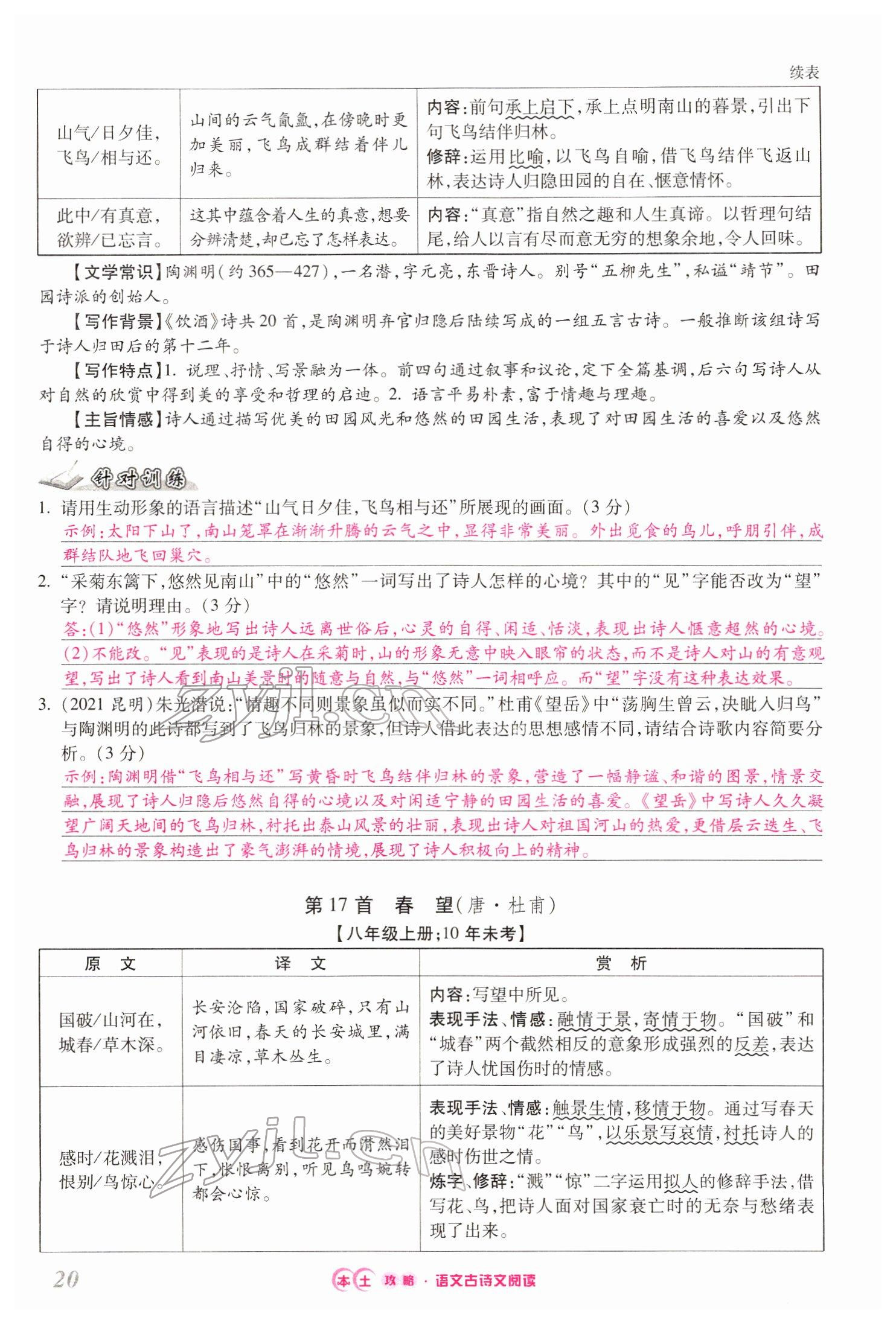 2022年本土攻略精準復習方案語文云南專版 第20頁