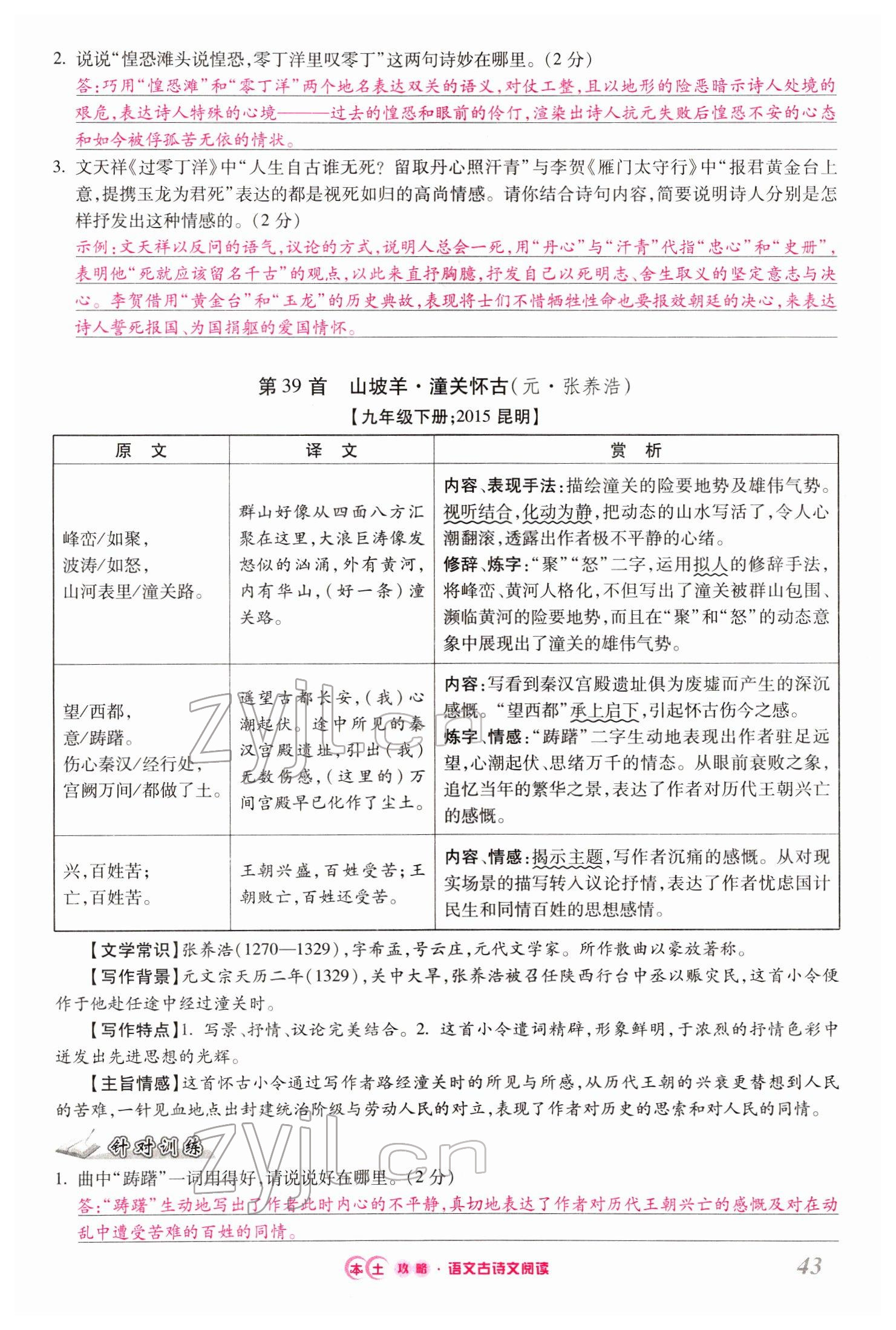 2022年本土攻略精準(zhǔn)復(fù)習(xí)方案語(yǔ)文云南專(zhuān)版 第43頁(yè)