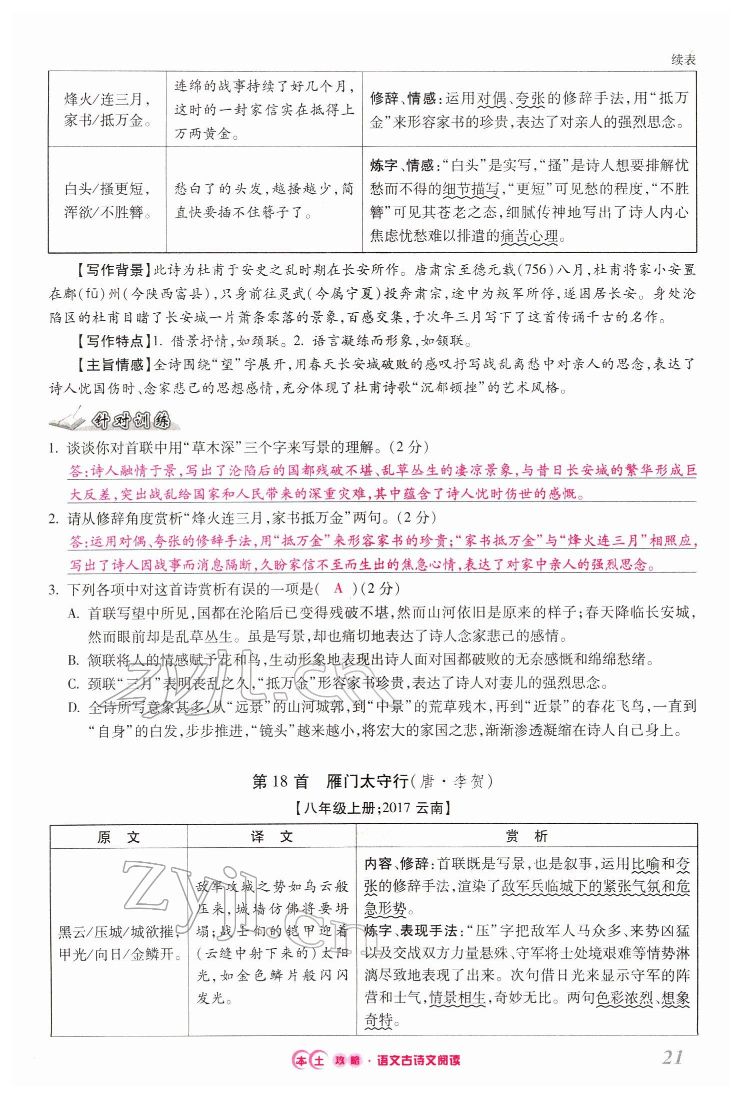 2022年本土攻略精準(zhǔn)復(fù)習(xí)方案語(yǔ)文云南專(zhuān)版 第21頁(yè)