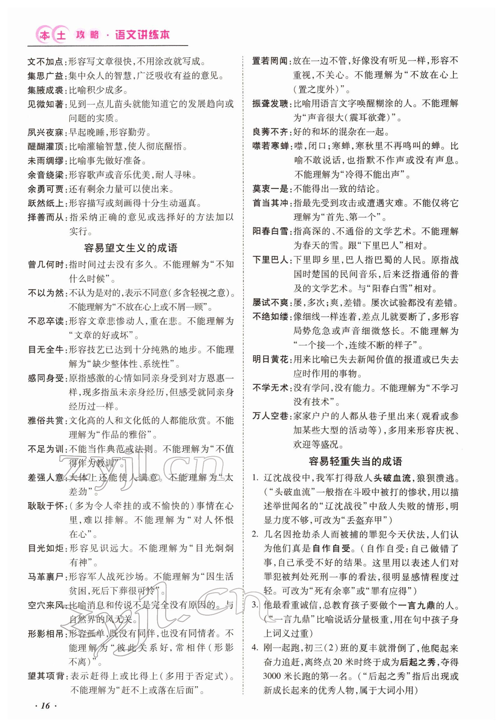 2022年本土攻略精準(zhǔn)復(fù)習(xí)方案語文云南專版 參考答案第40頁
