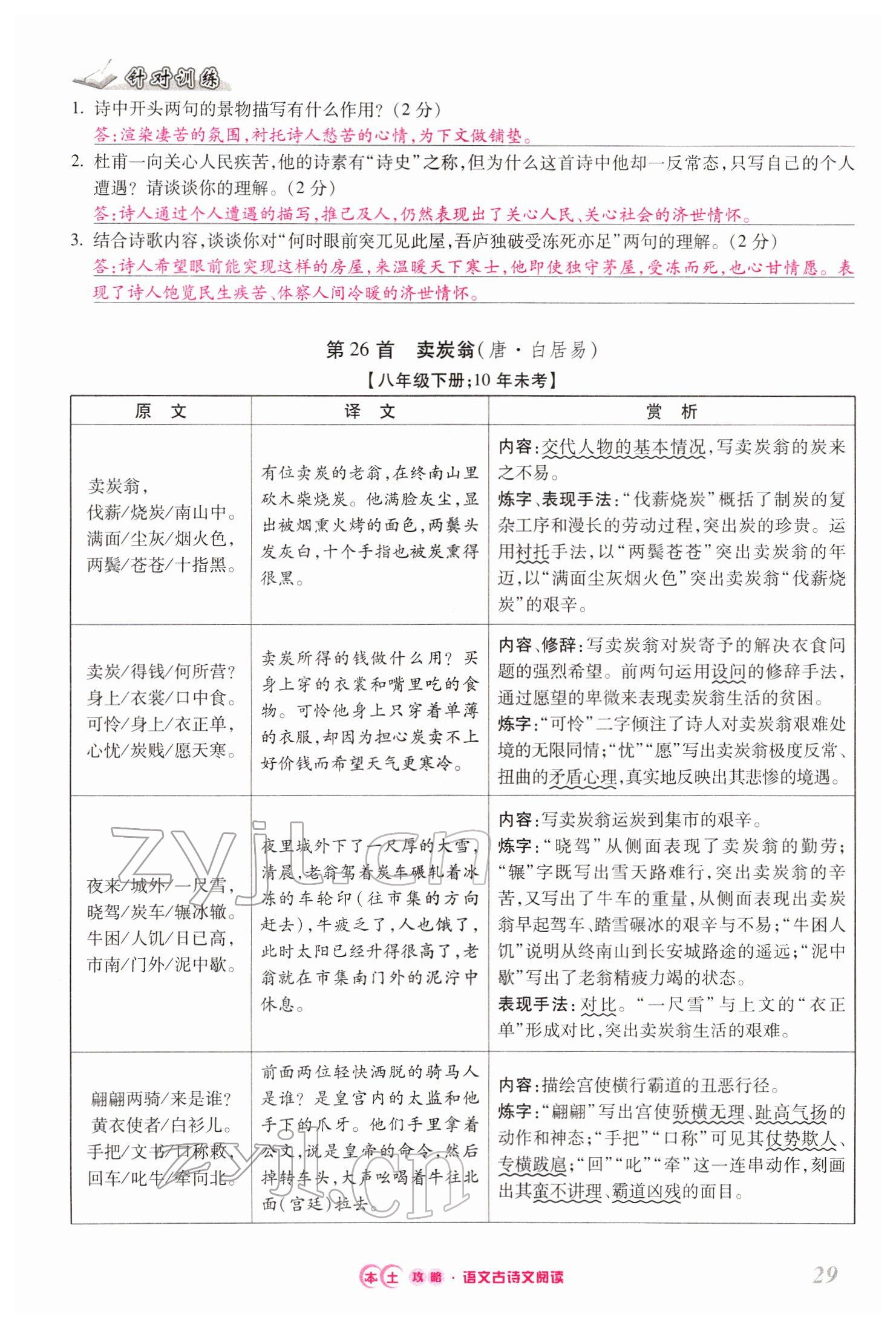 2022年本土攻略精準(zhǔn)復(fù)習(xí)方案語文云南專版 第29頁