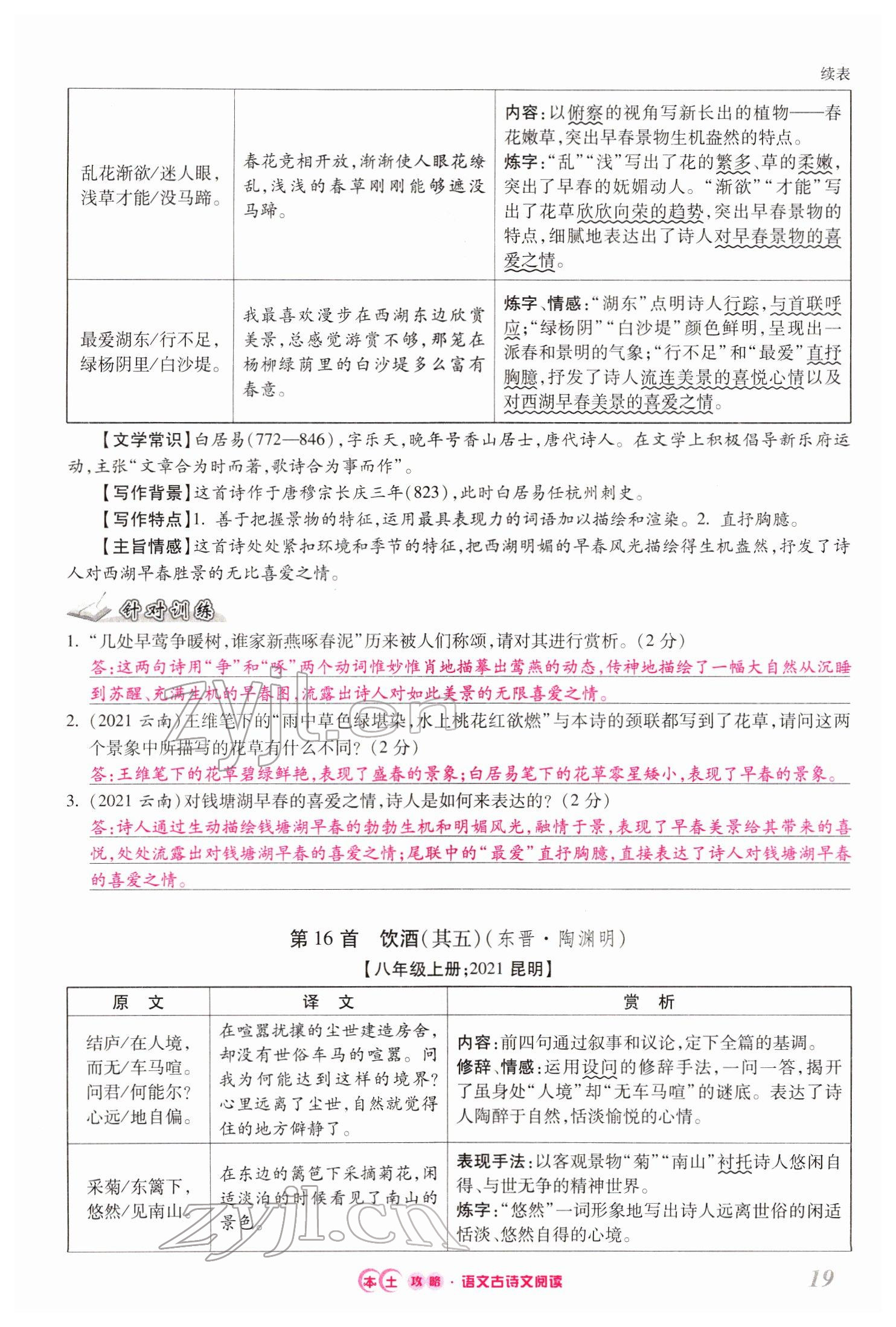 2022年本土攻略精準(zhǔn)復(fù)習(xí)方案語文云南專版 第19頁