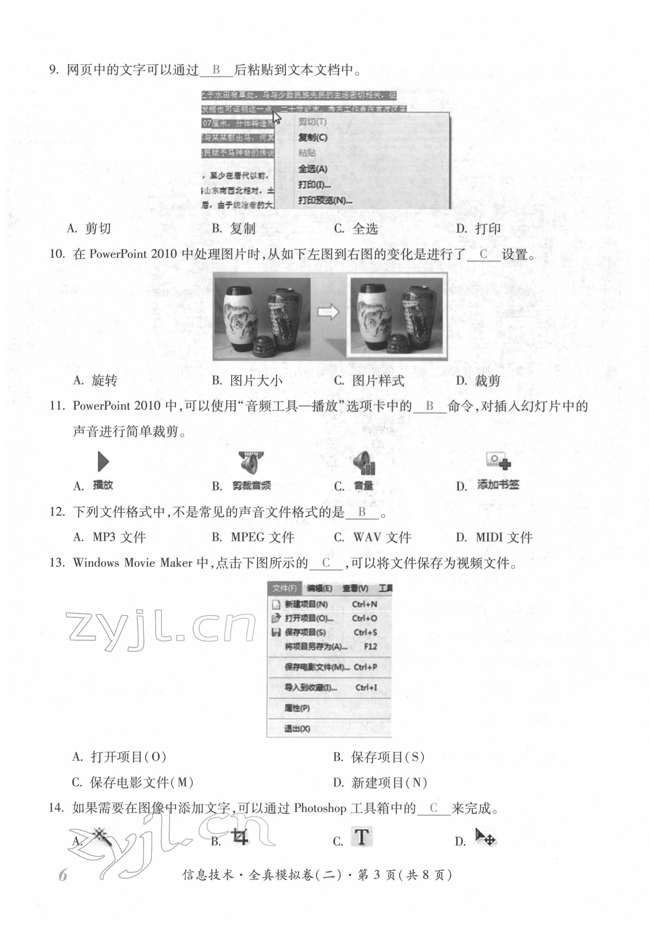 2022年本土攻略精準(zhǔn)復(fù)習(xí)方案九年級信息技術(shù) 第11頁