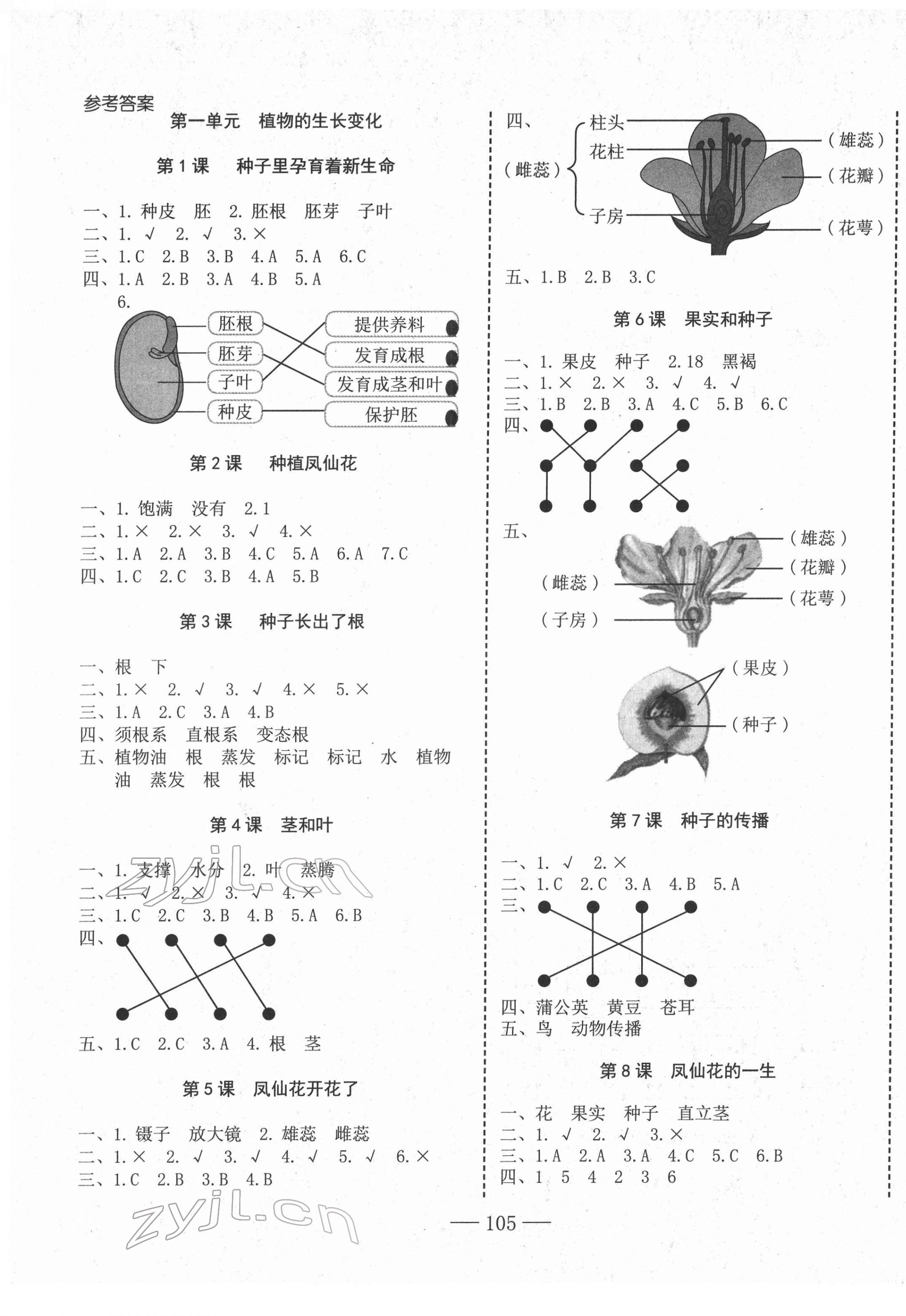 2022年科學速記大通關四年級下冊教科版 第1頁