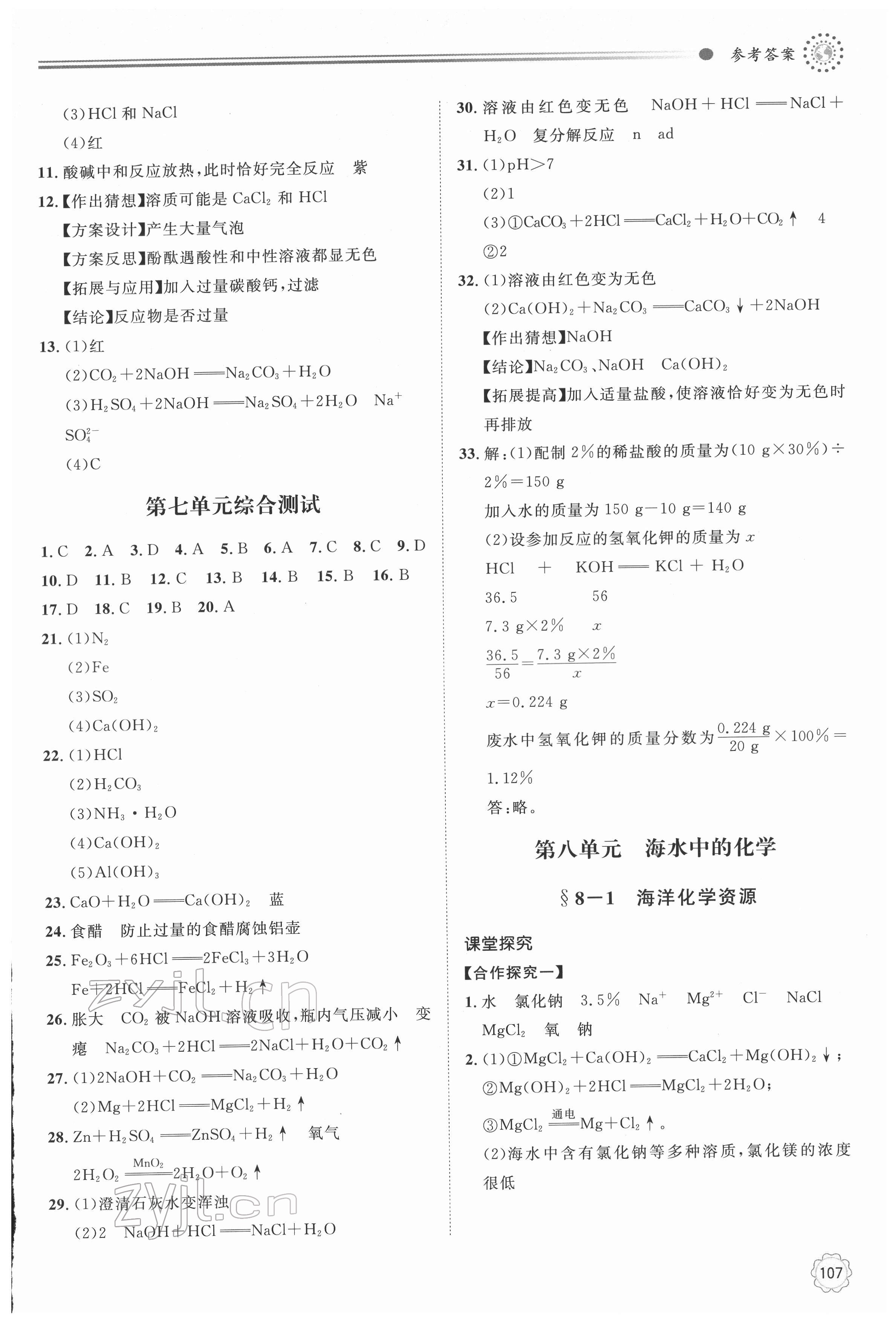 2022年初中同步練習冊九年級化學下冊魯教版明天出版社 第5頁