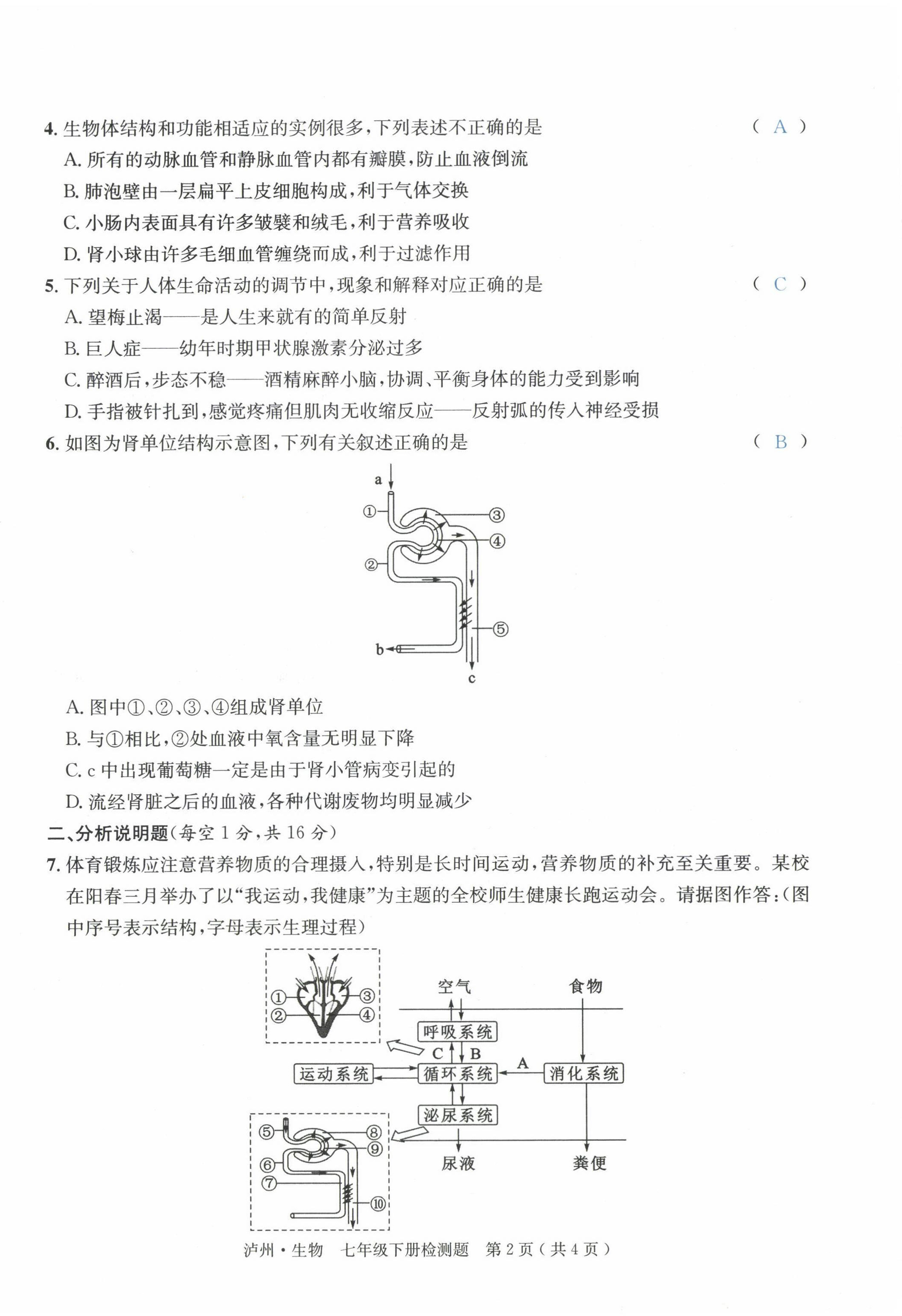 2022年国华考试中考总动员生物泸州专版 第6页