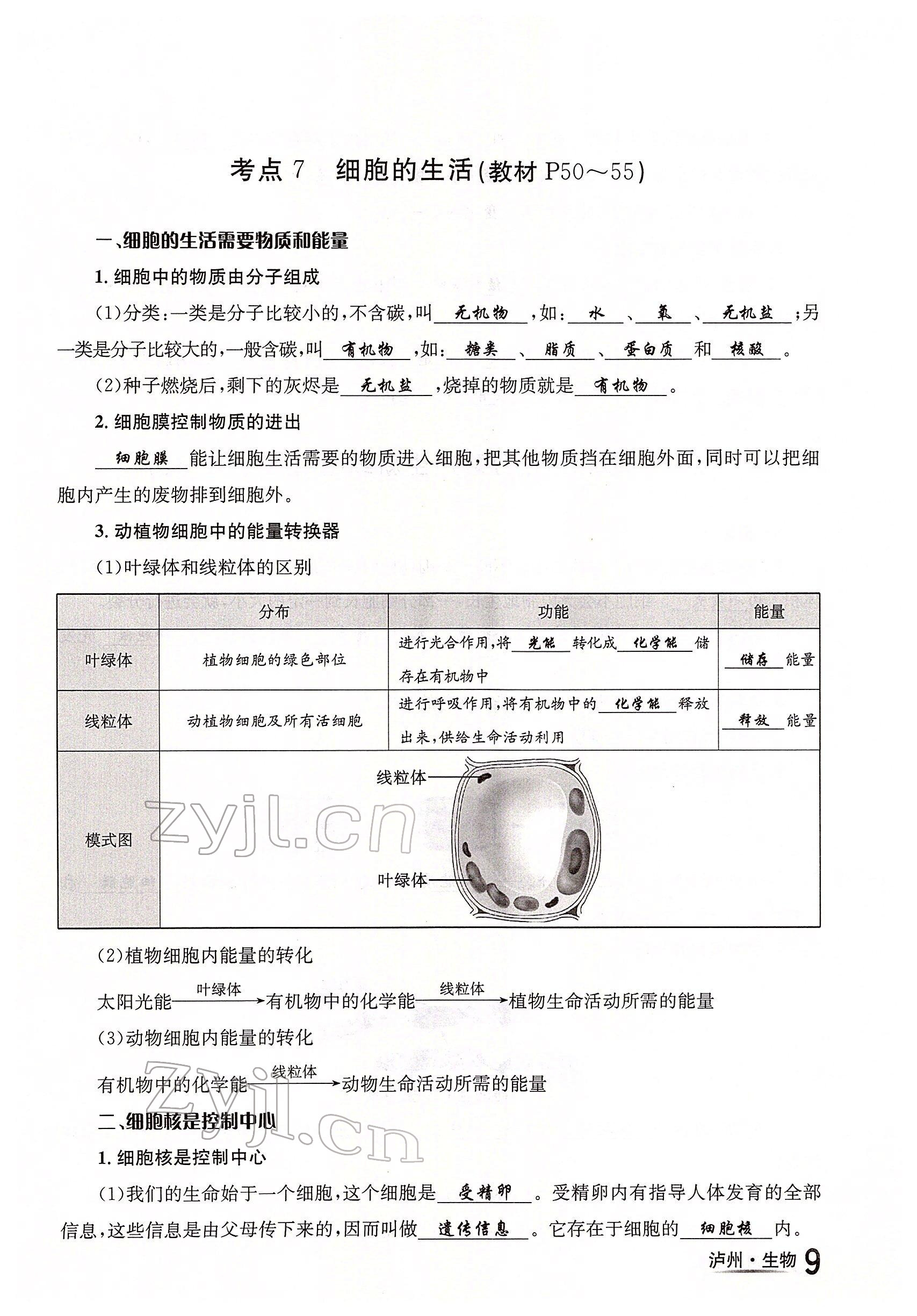 2022年国华考试中考总动员生物泸州专版 参考答案第9页