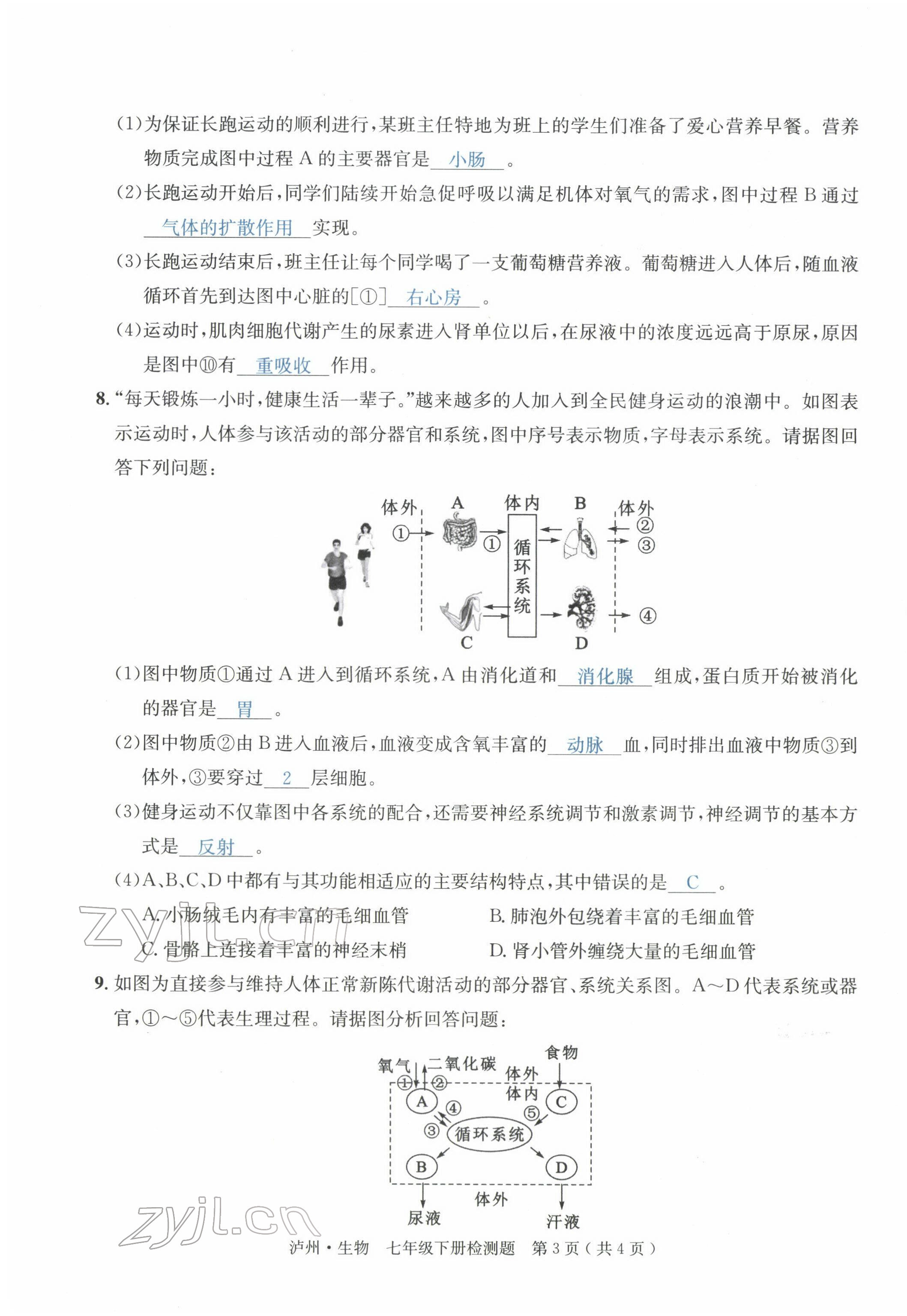 2022年国华考试中考总动员生物泸州专版 第7页